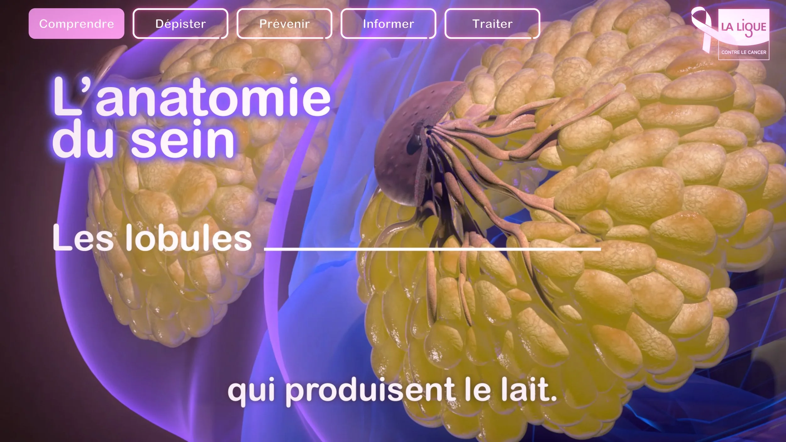Sans titre-1_0033_Calque 4.jpg