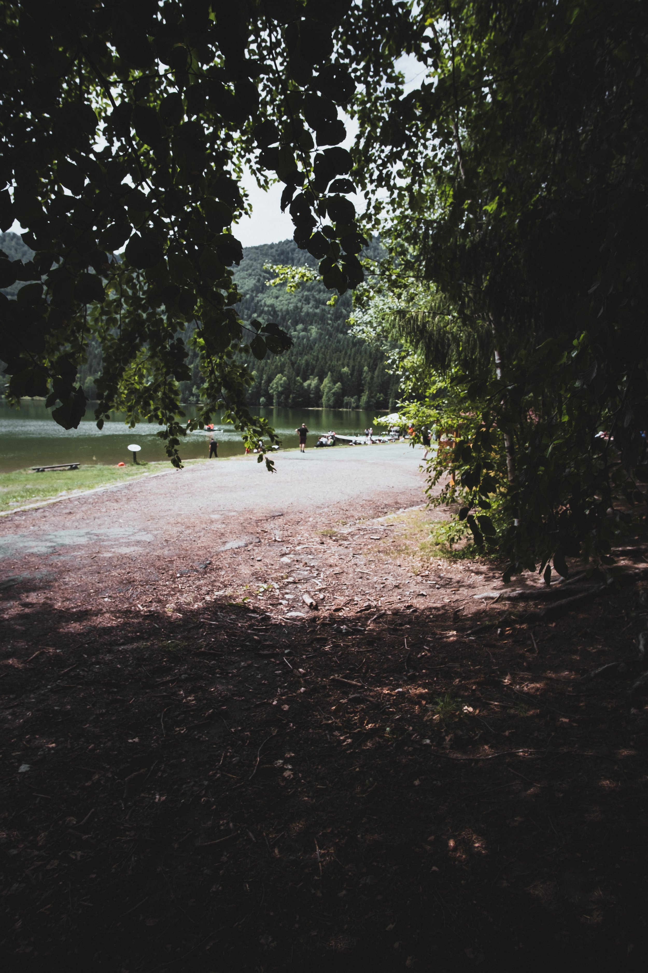 DSCF9161.jpg
