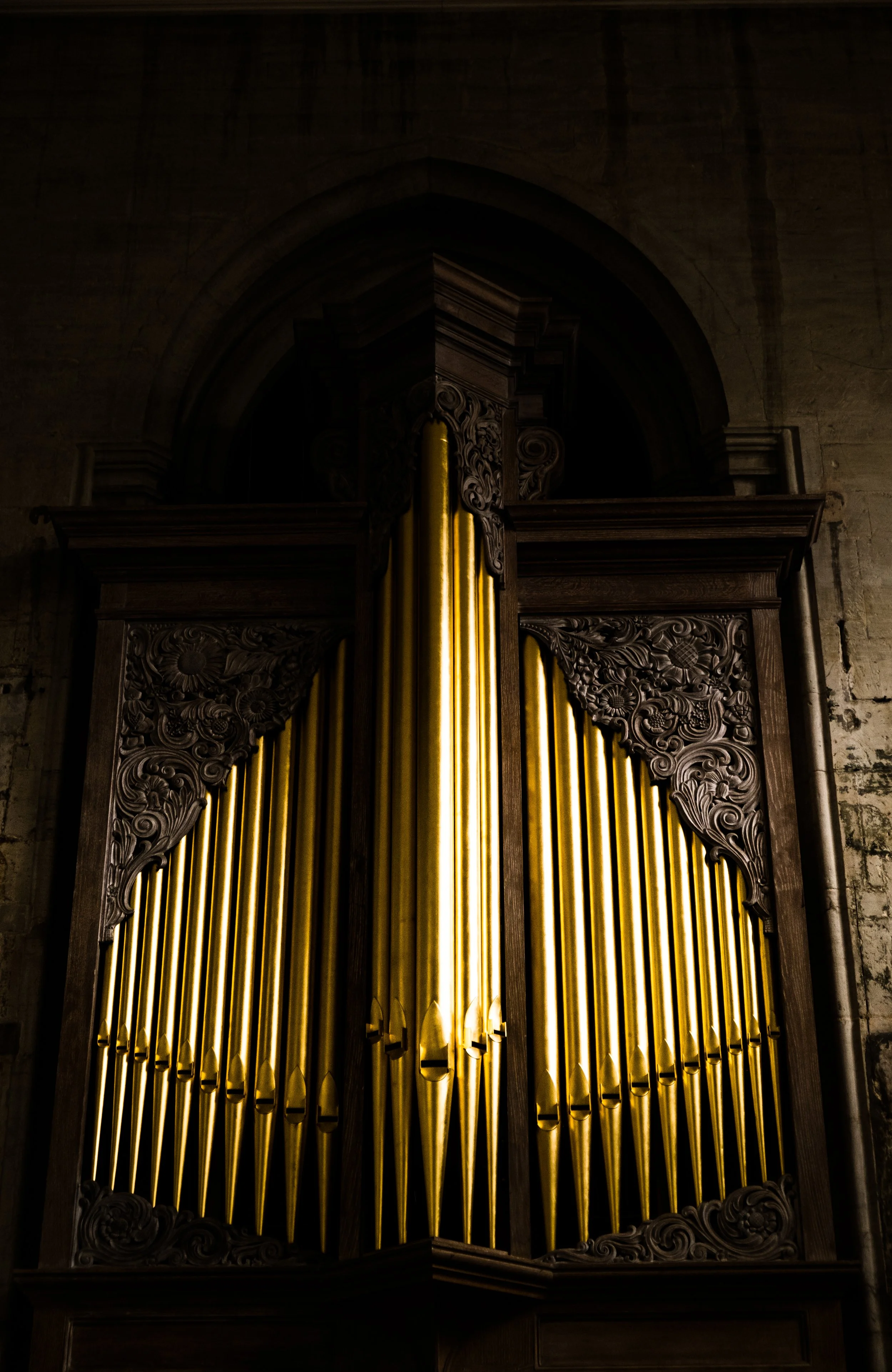 DSCF3373.jpg