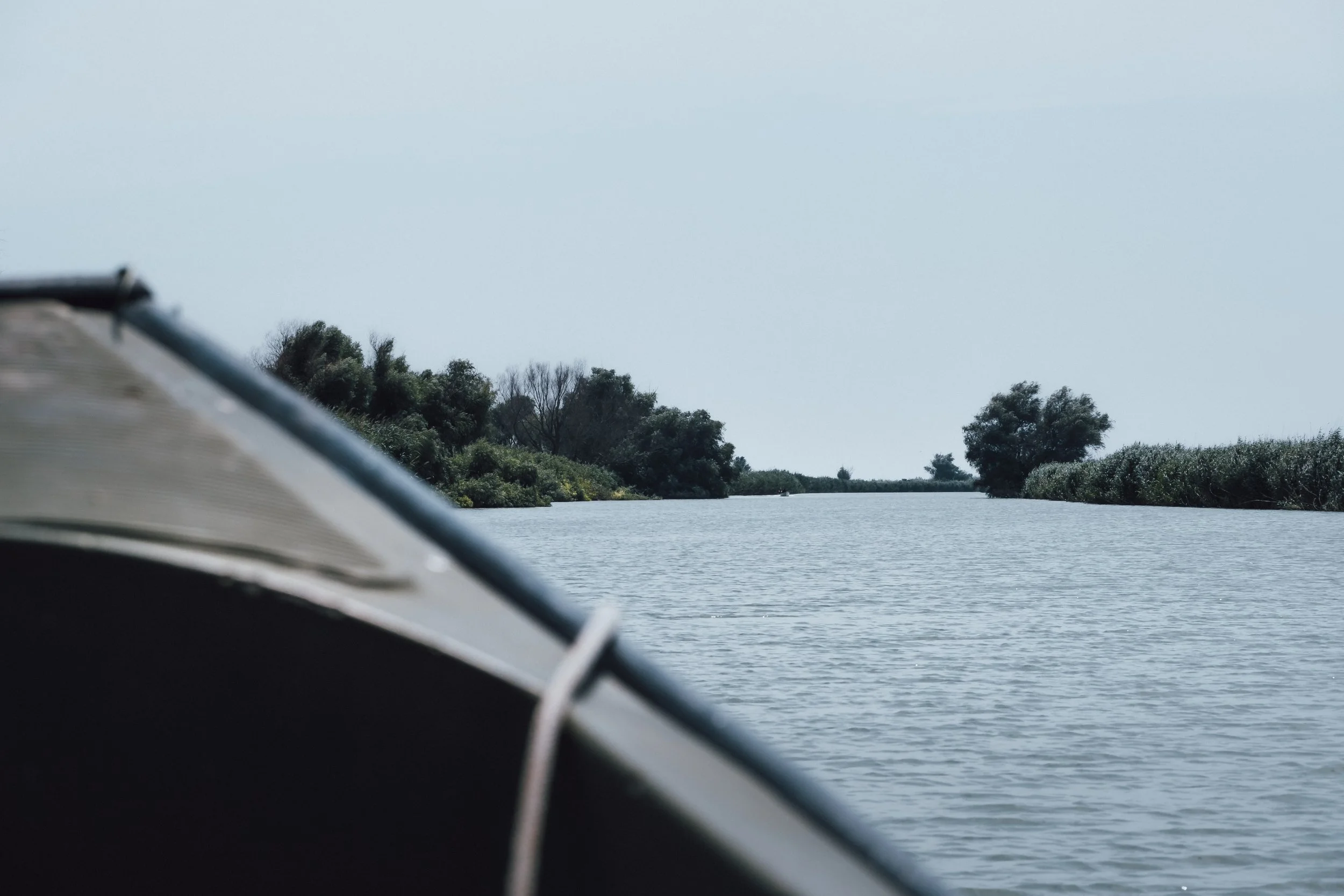 DSCF6177.jpg