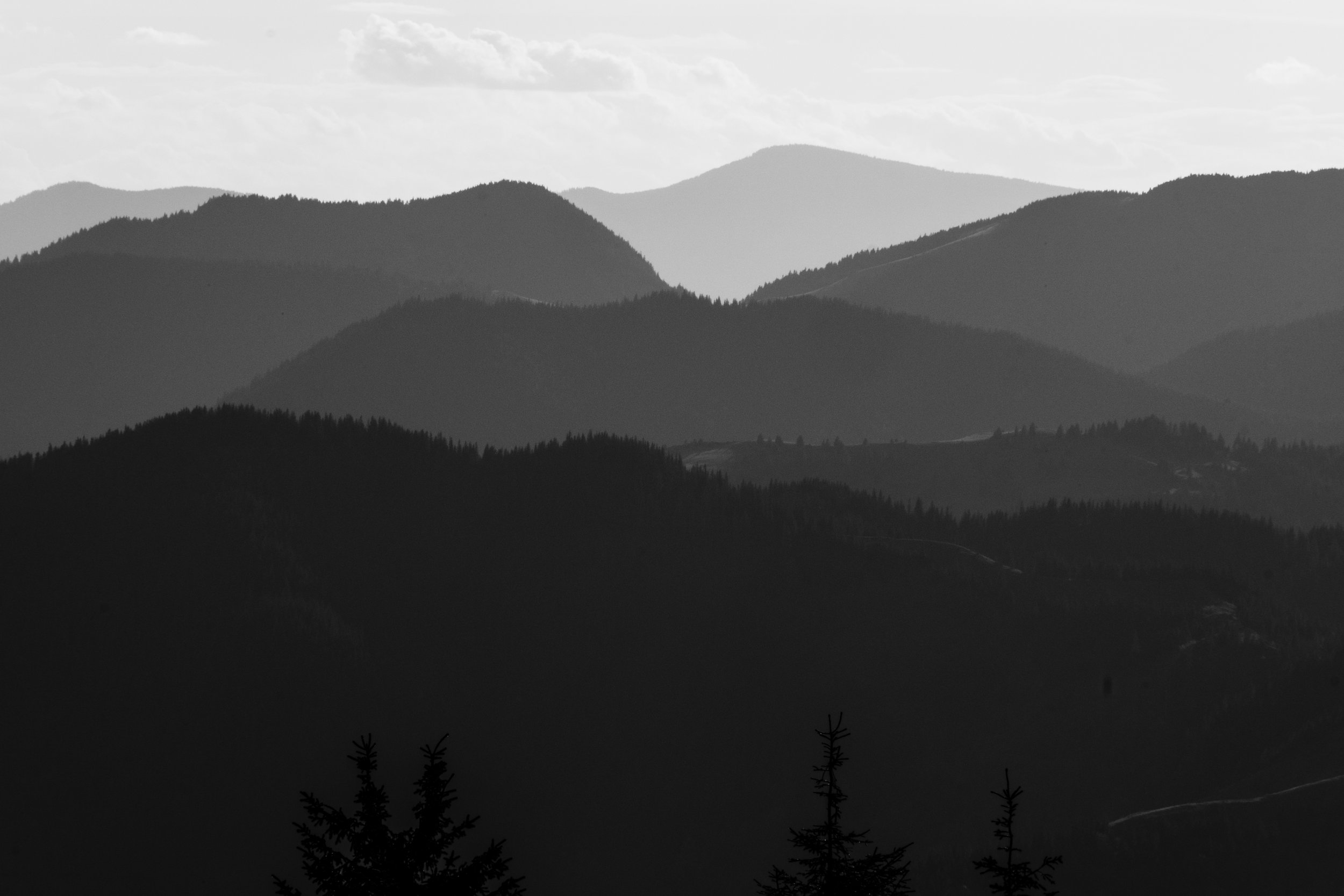 DSCF0546.jpg