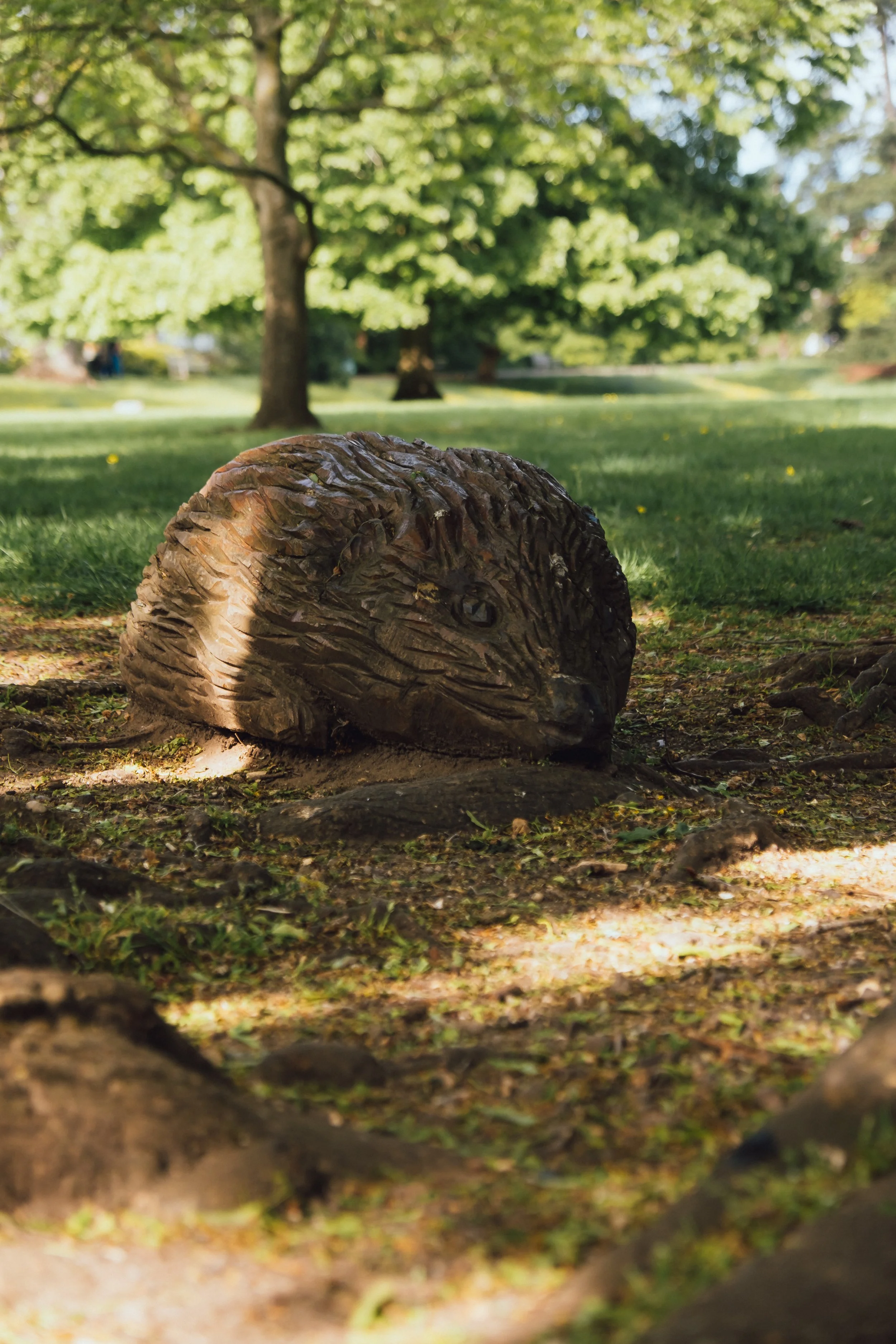 DSCF3767.jpg