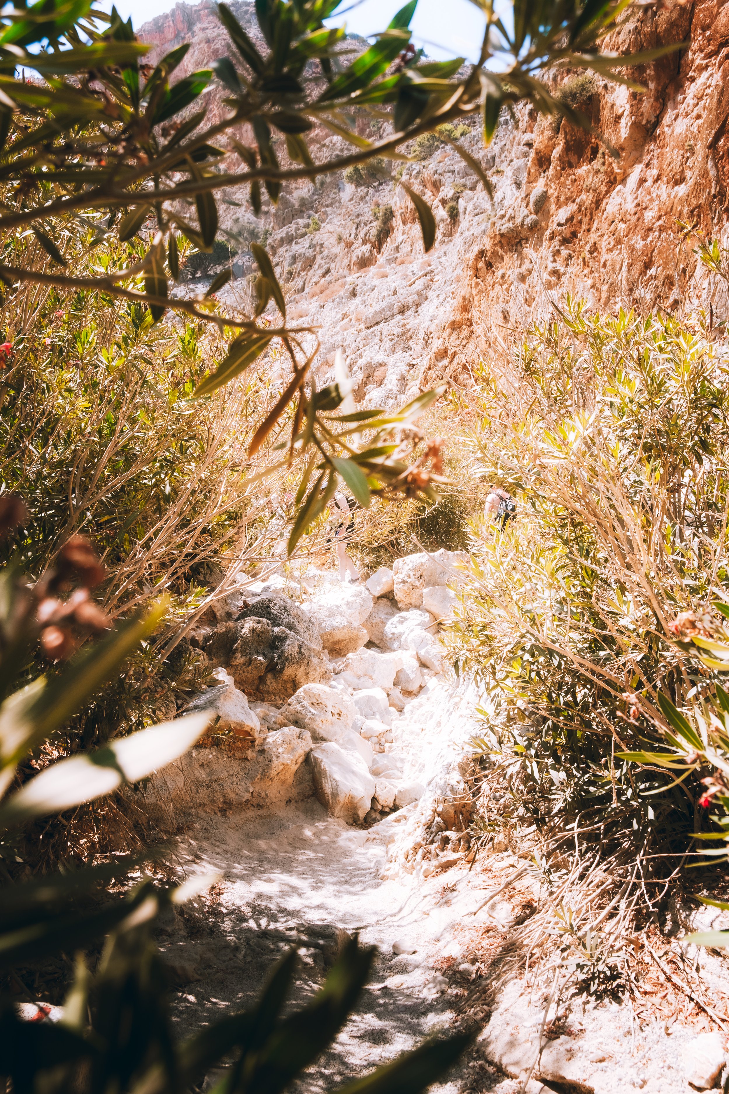 DSCF3741.jpg