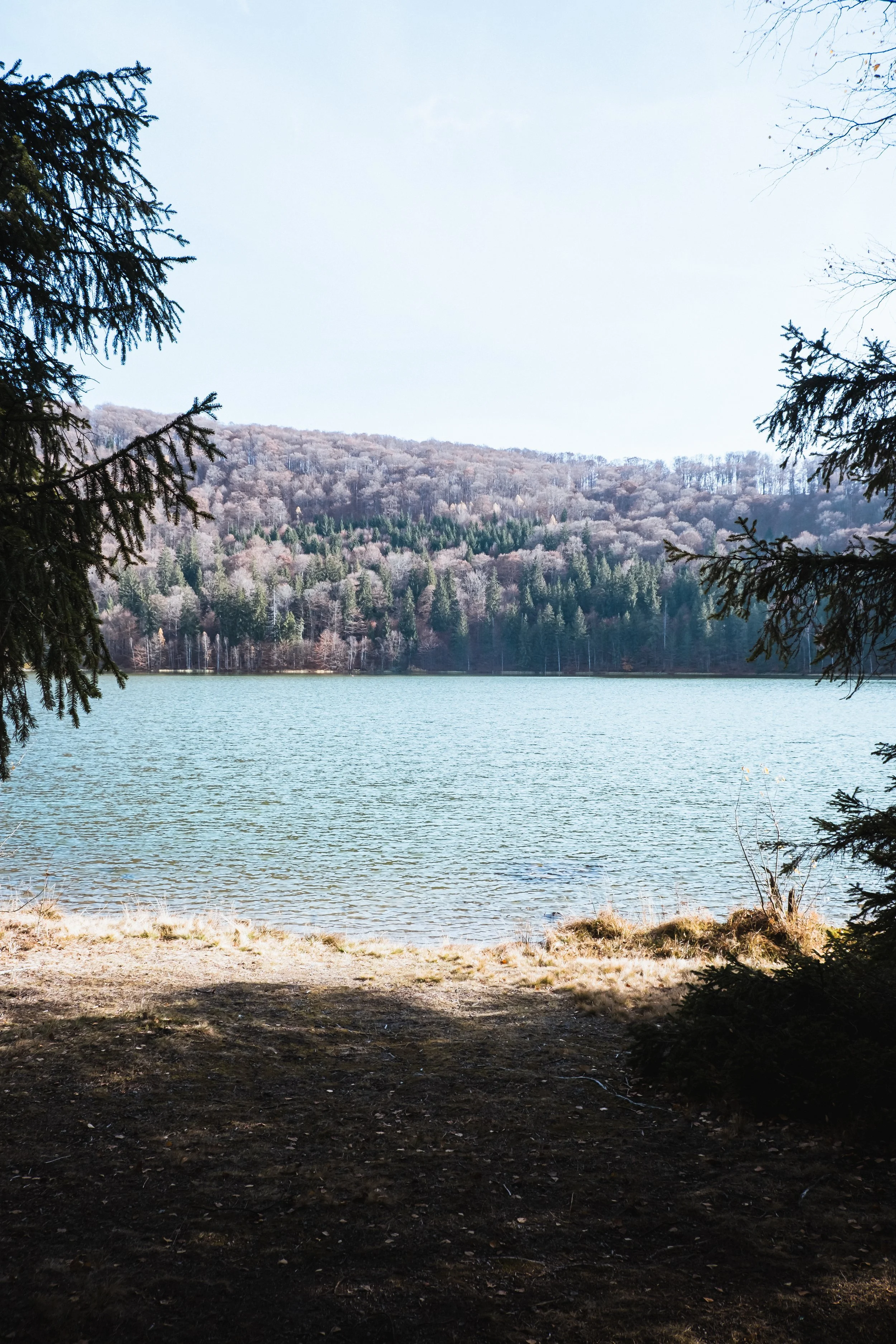 DSCF9394.jpg