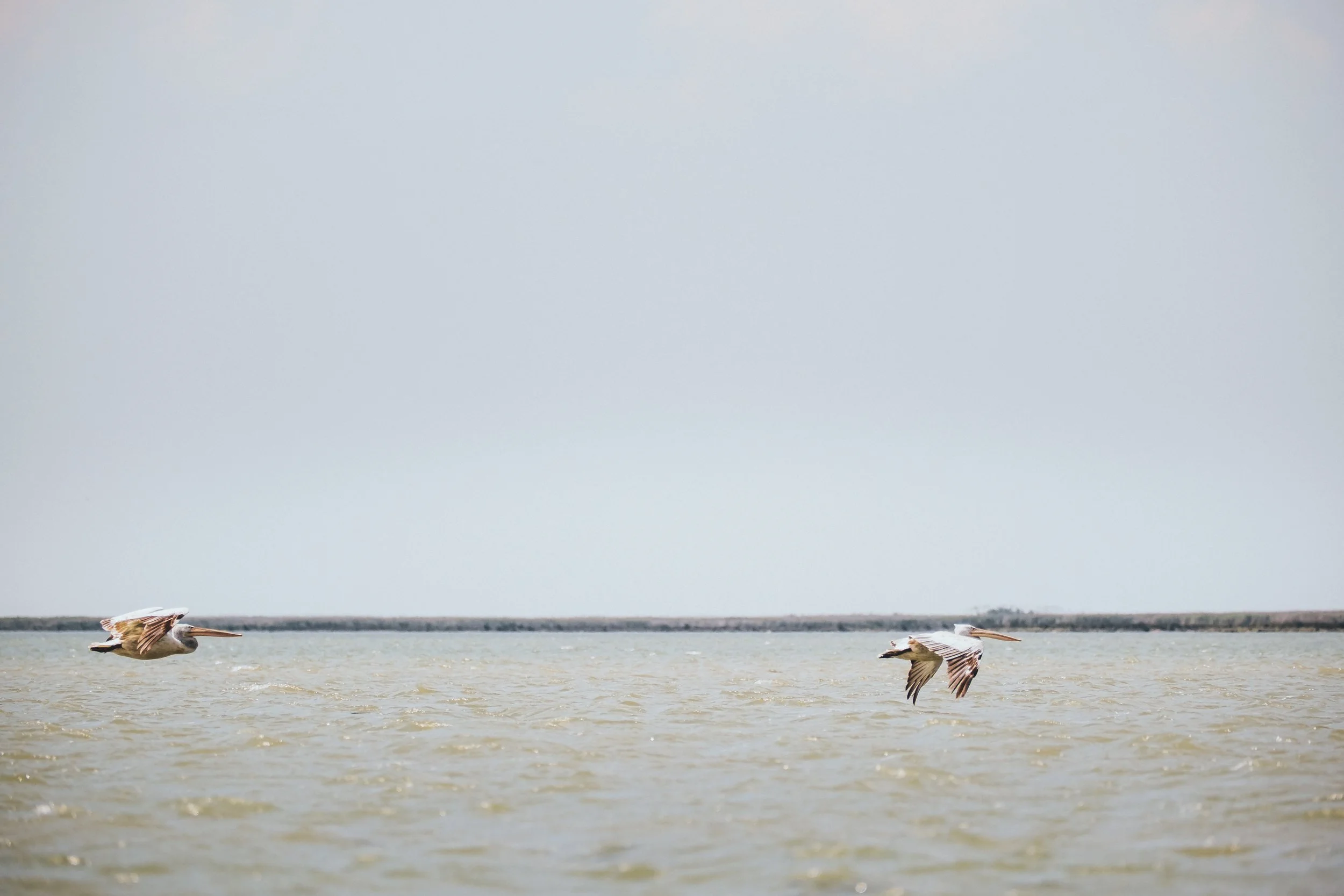 DSCF7349.jpg