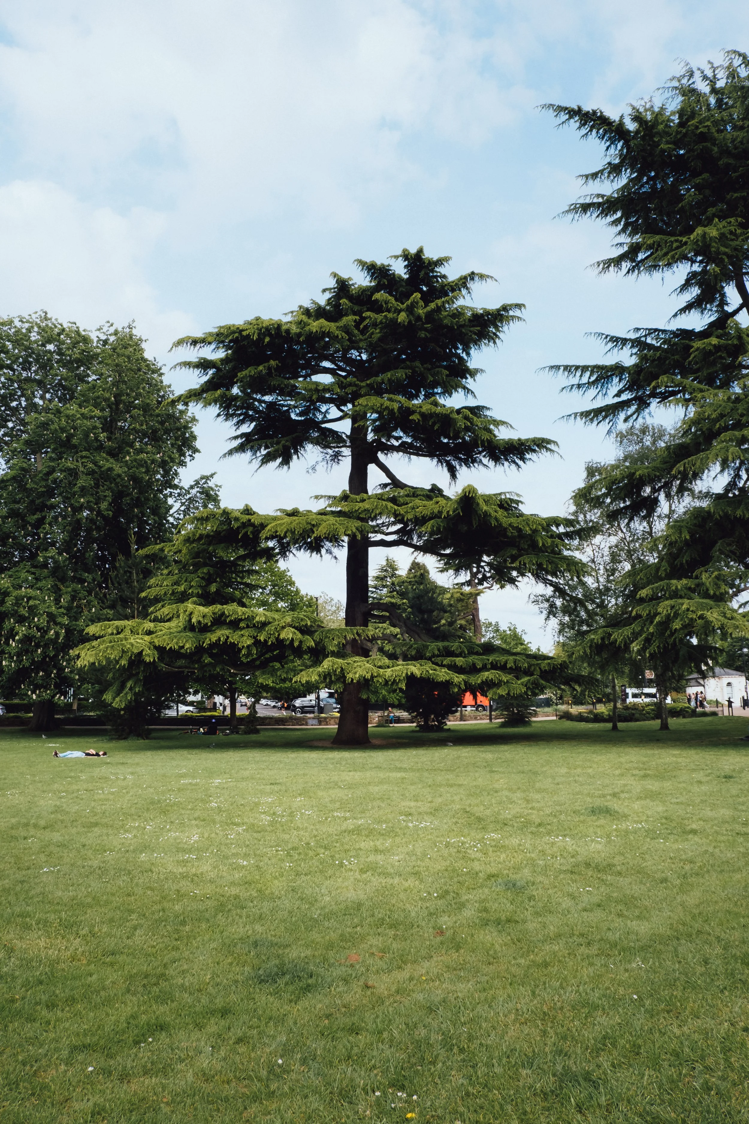 DSCF3650.jpg