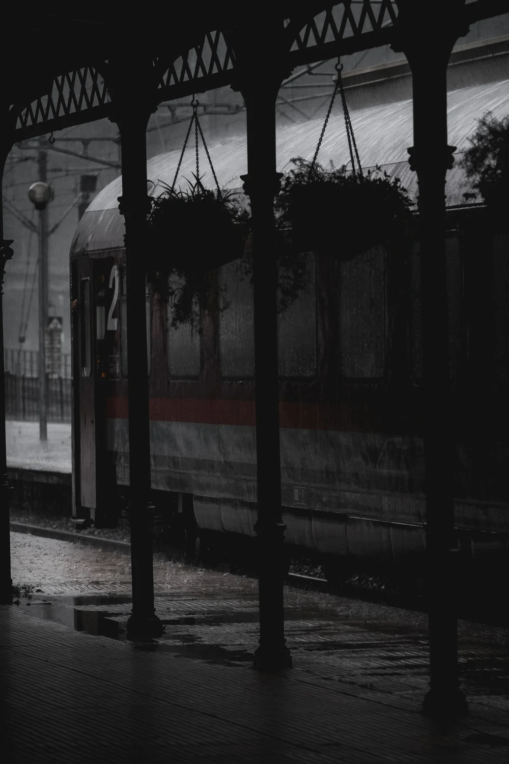 POZA3232.jpg