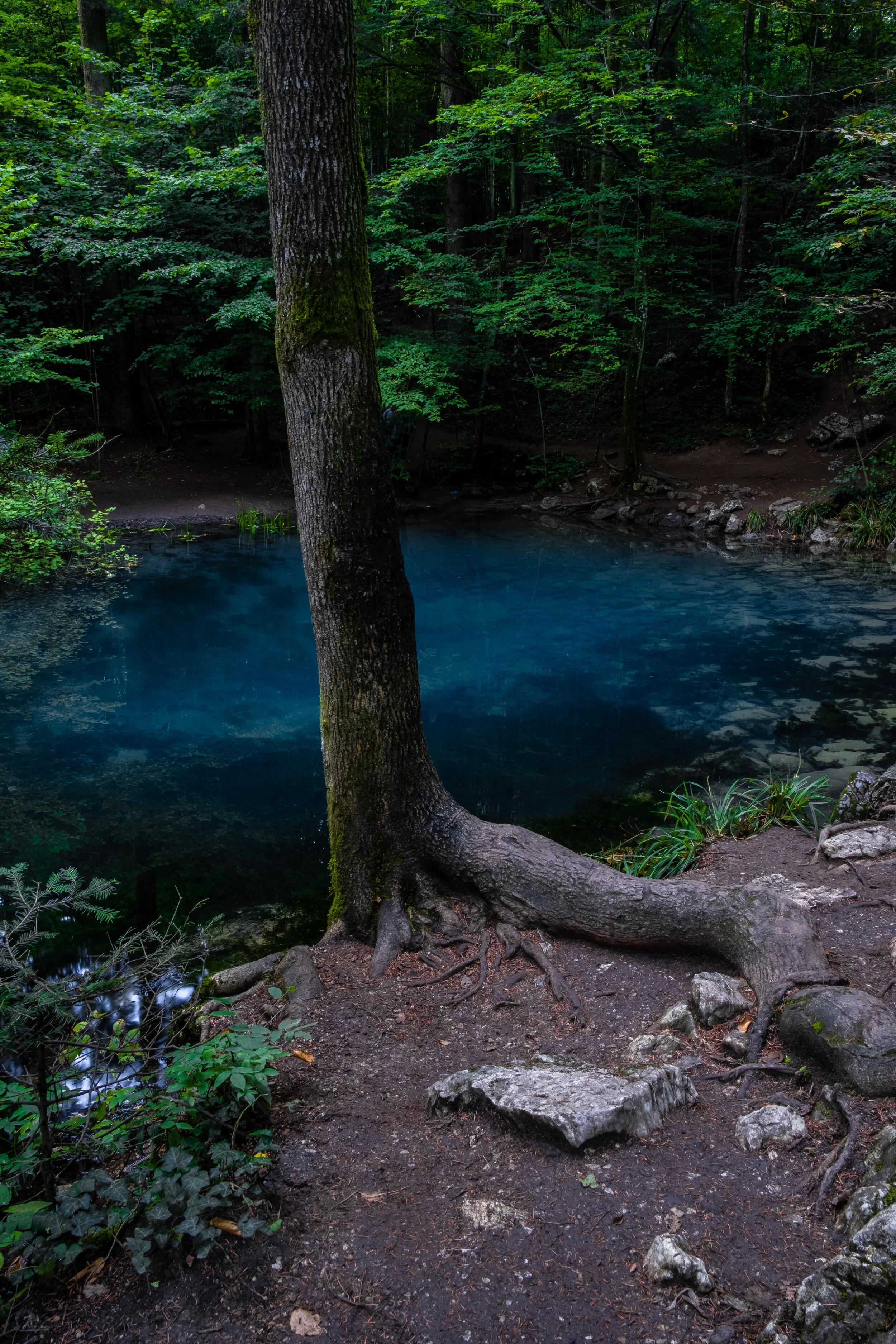 The 'Ochiul Beiului' lake and it's stunning blue water captured on 22/08/2020