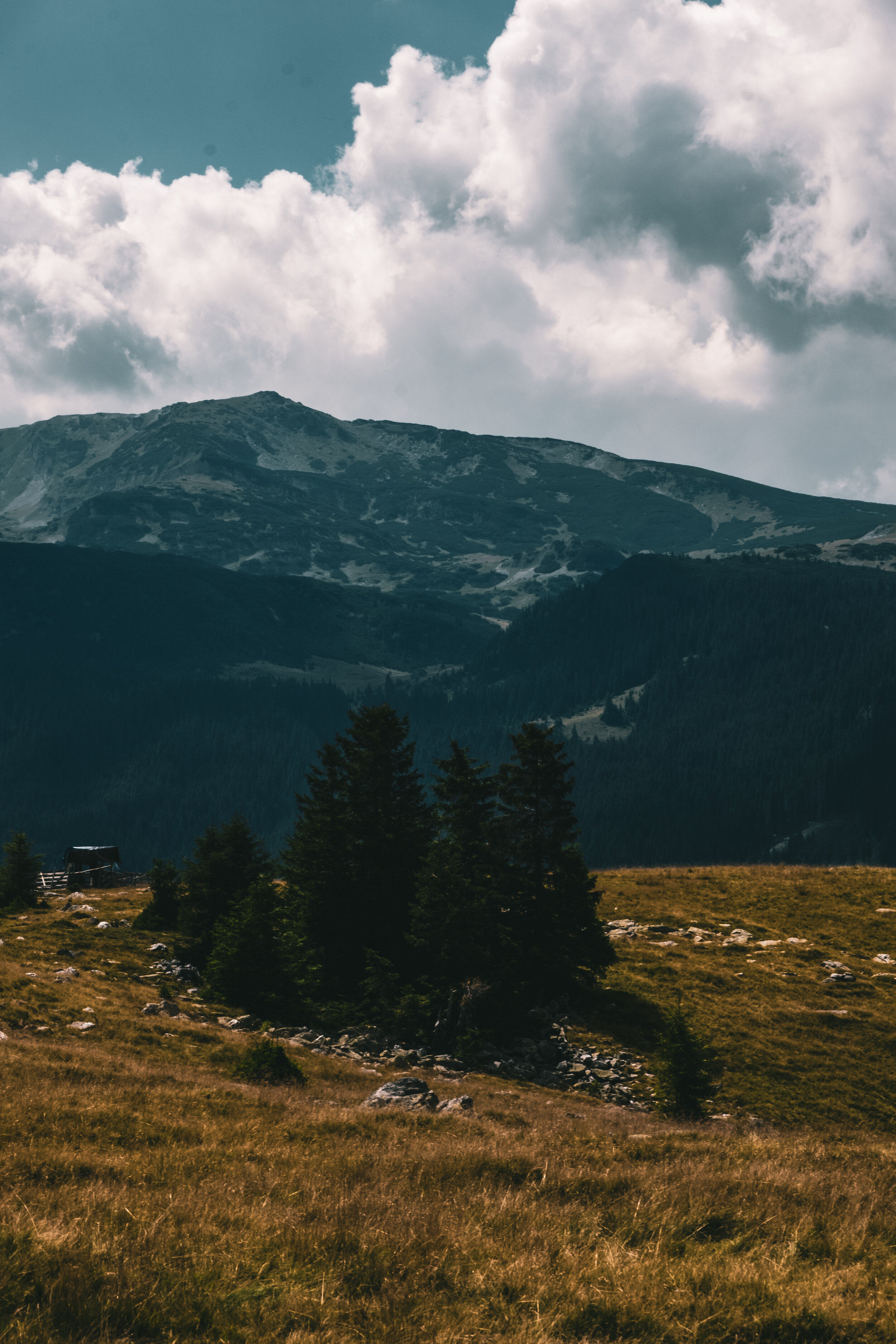 View from the 'Transalpina' road, captured on 24/08/2020
