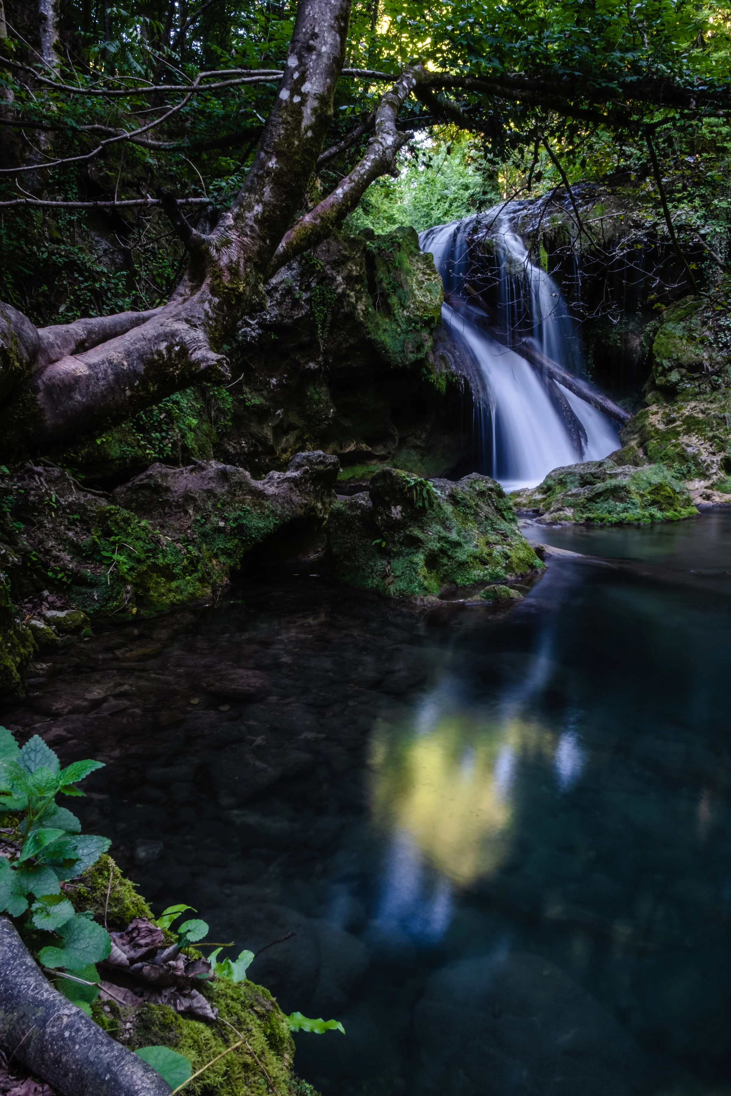 The 'La Văioaga' waterfall located downstream from the 'Ochiul Beiului' lake captured on 22/08/2020