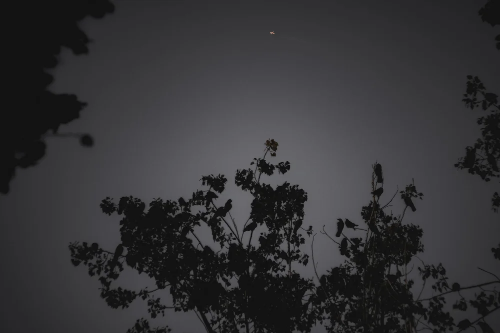 DSCF9321.JPG