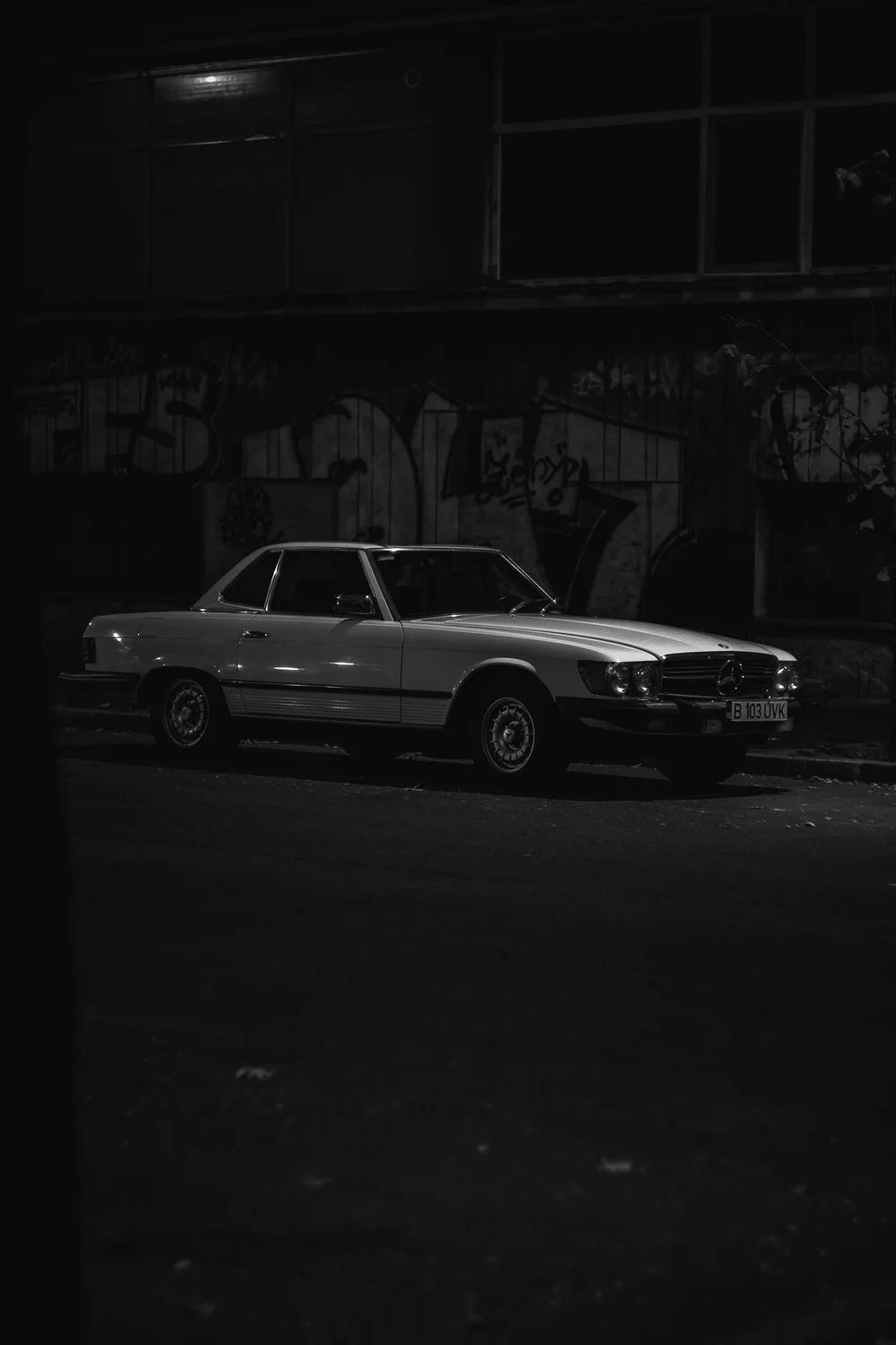 DSCF9388.JPG