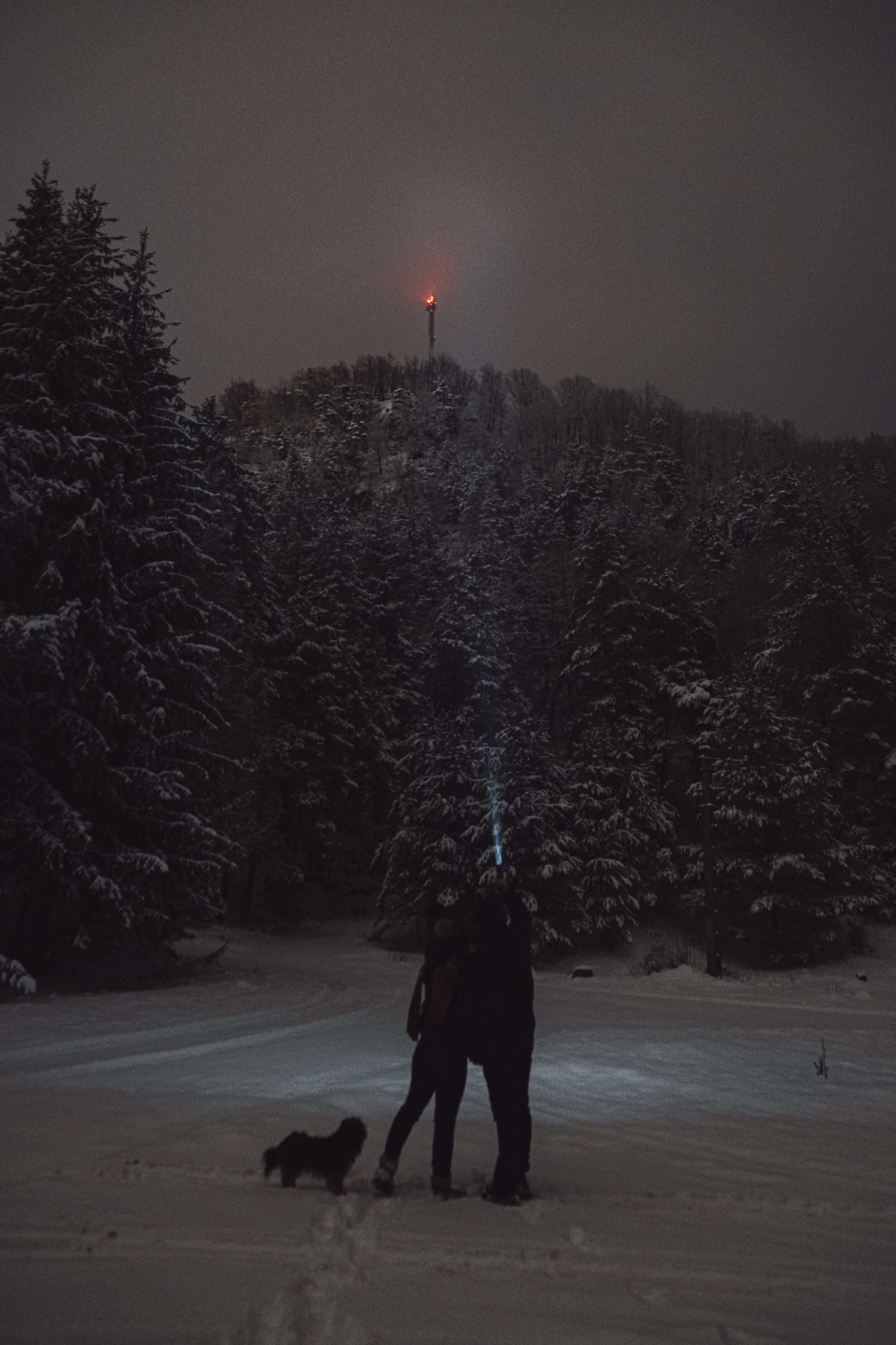 'The two of us, Tomi and a lot of snow' in a forest near my parents house, capture on 11/01/2021
