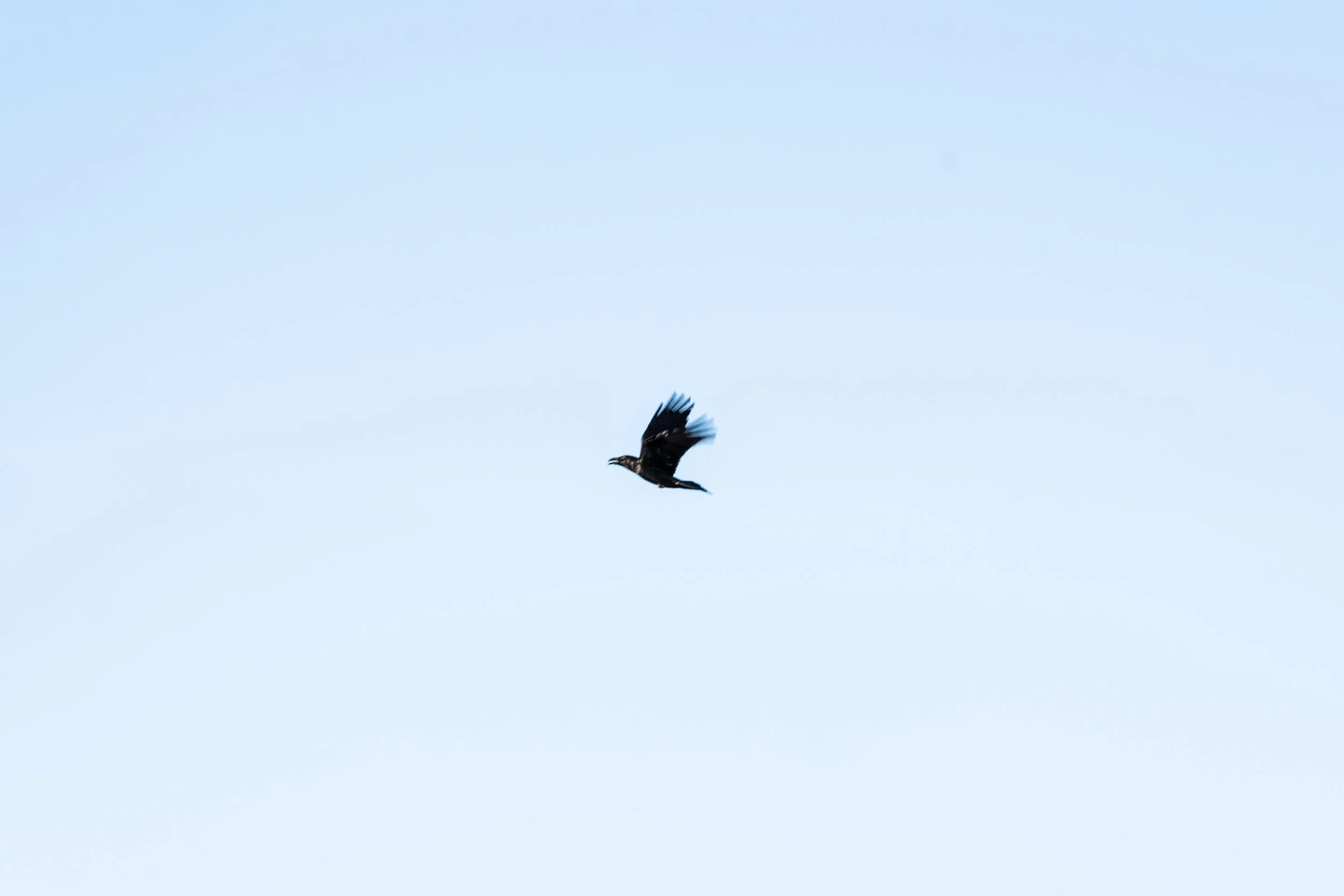 DSCF0459.jpg