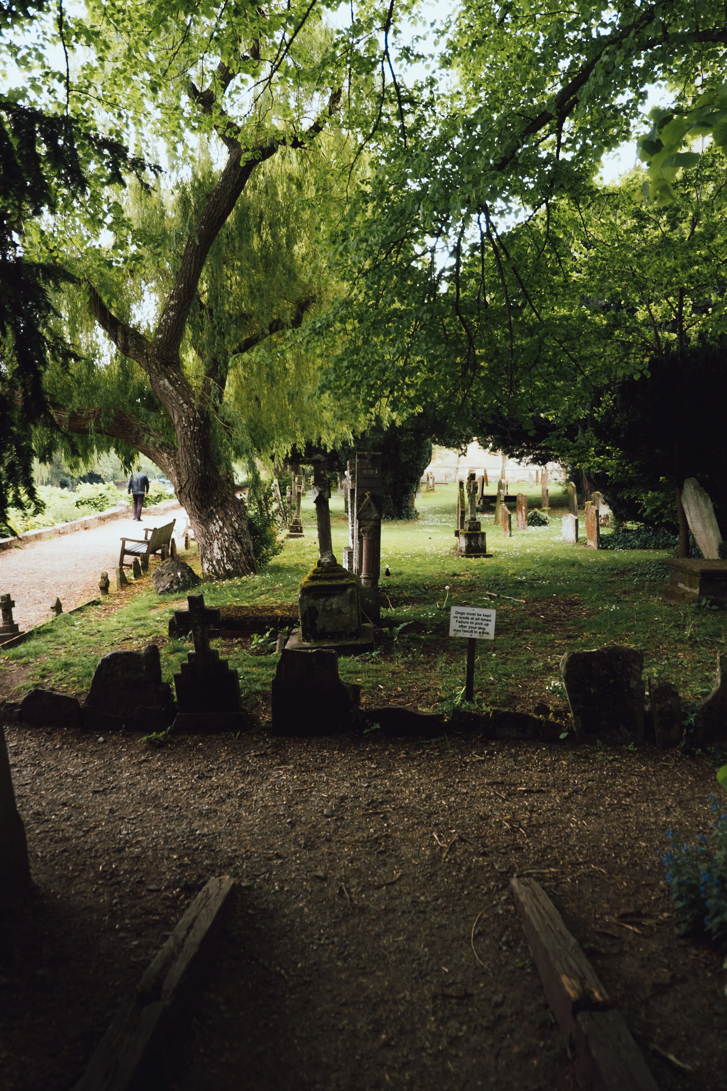 DSCF3551.jpg