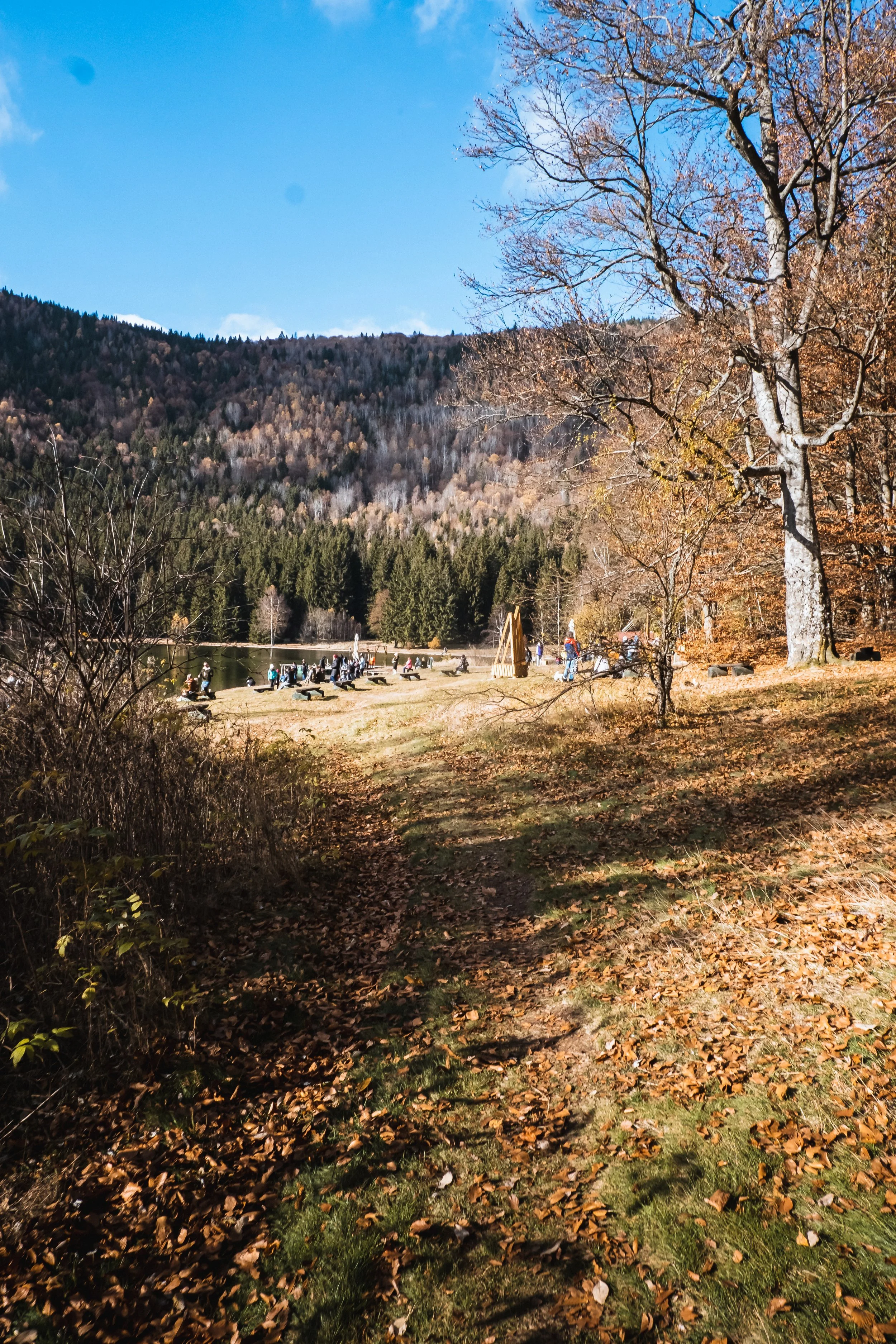 DSCF9438.jpg