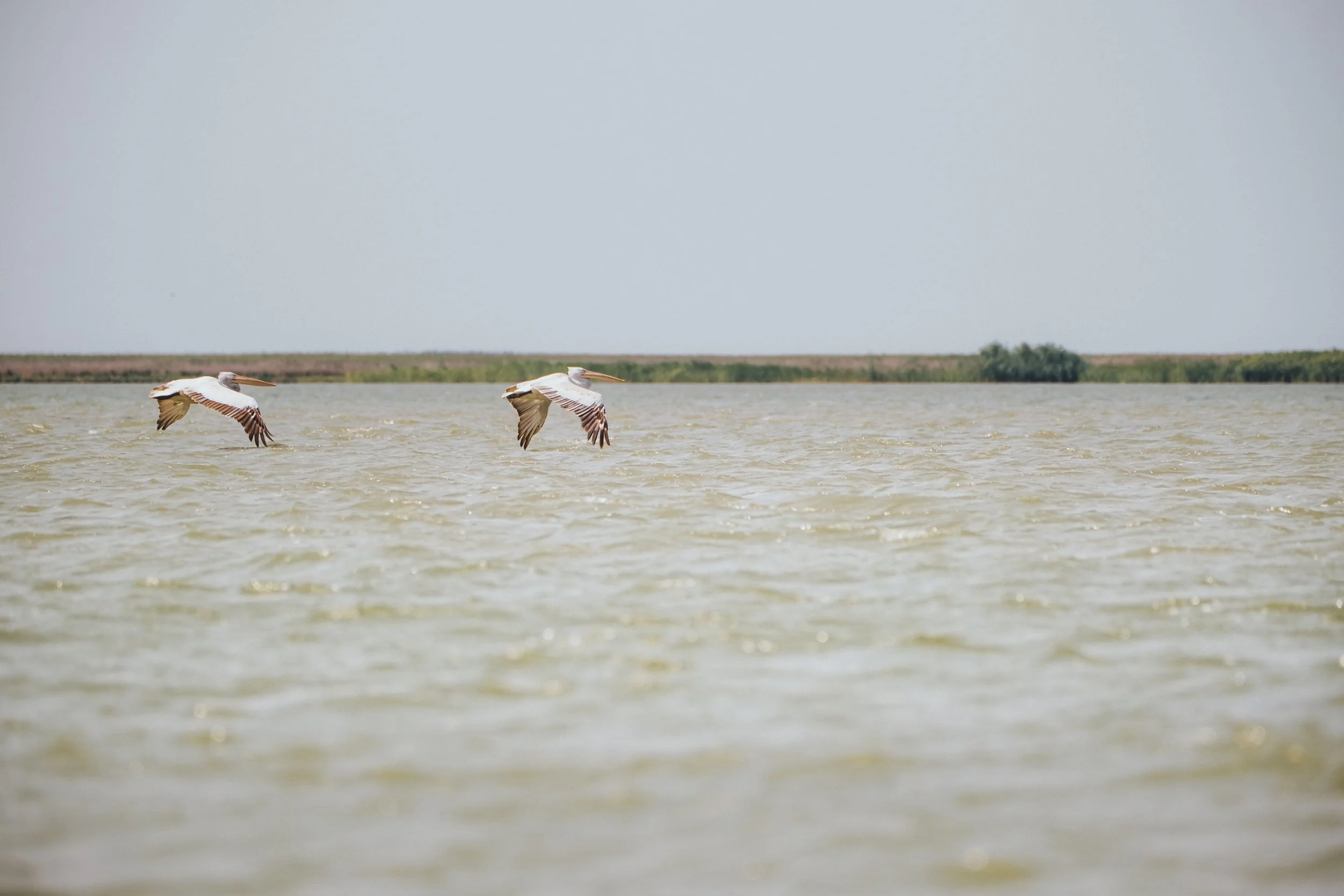 DSCF7364.jpg