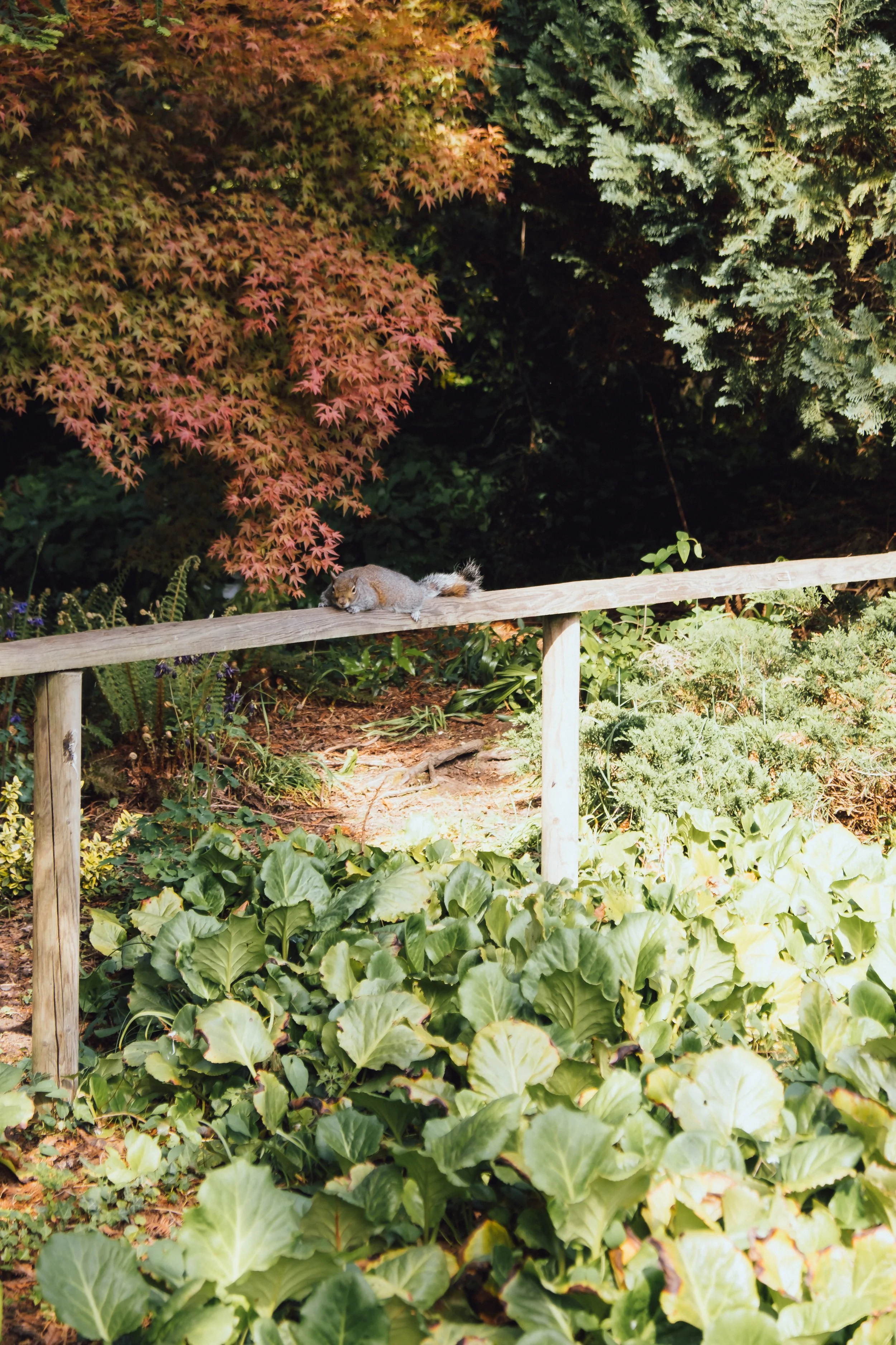 DSCF3752.jpg