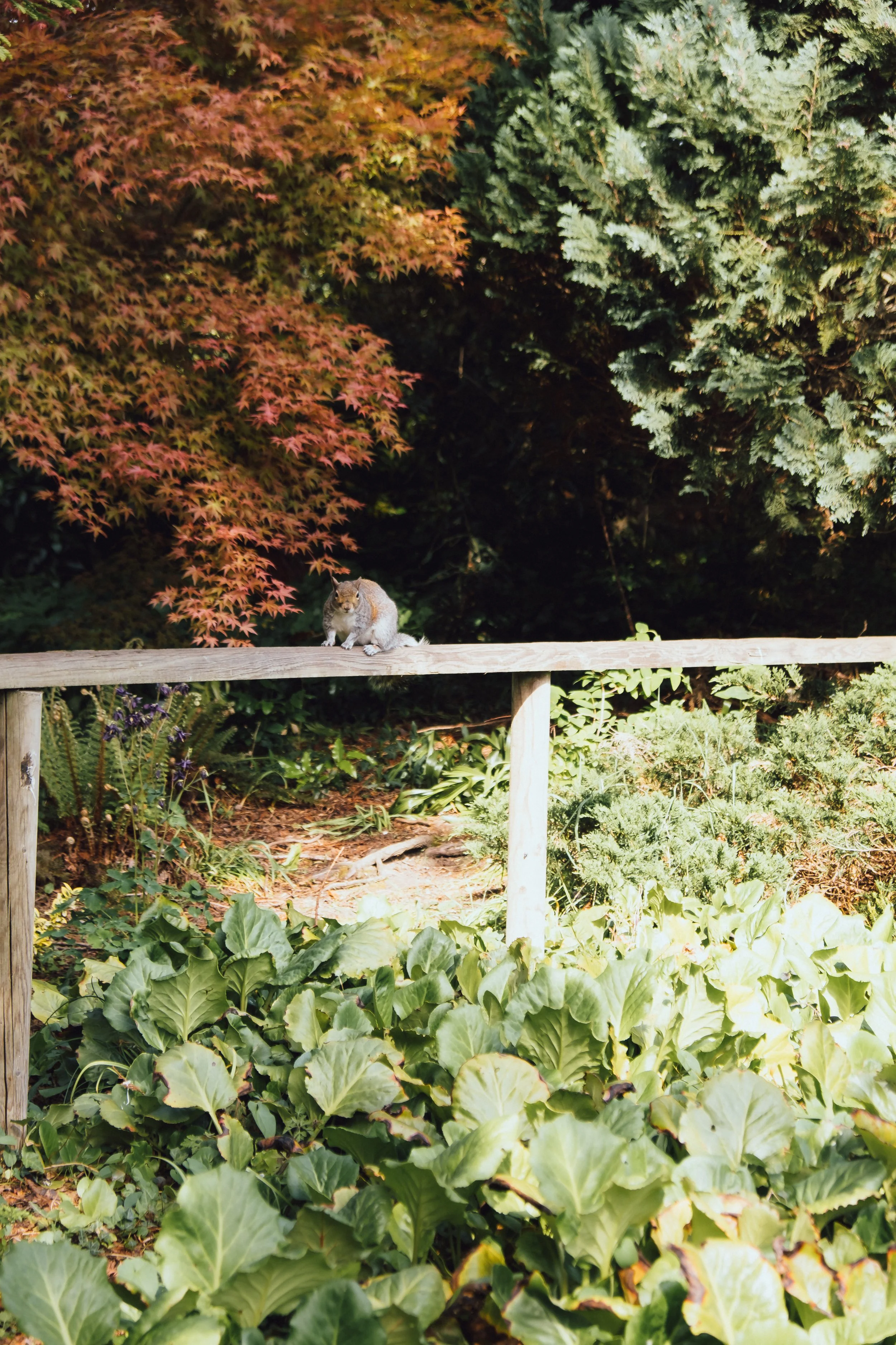 DSCF3759.jpg
