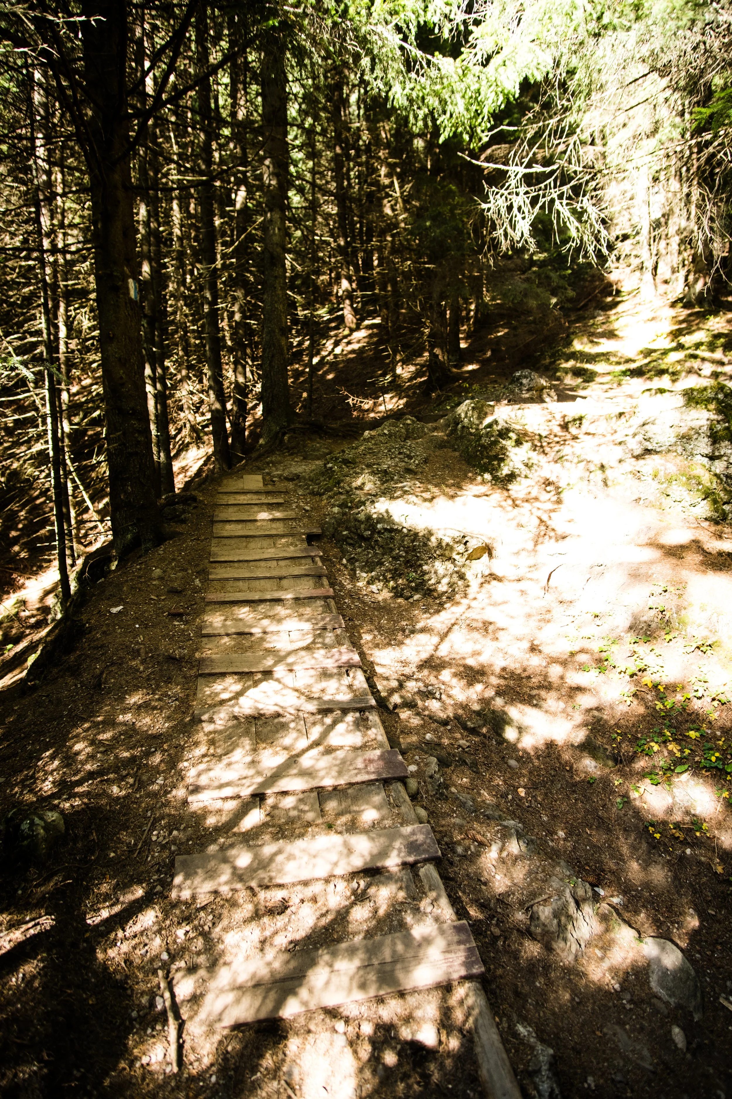 DSCF0002.jpg