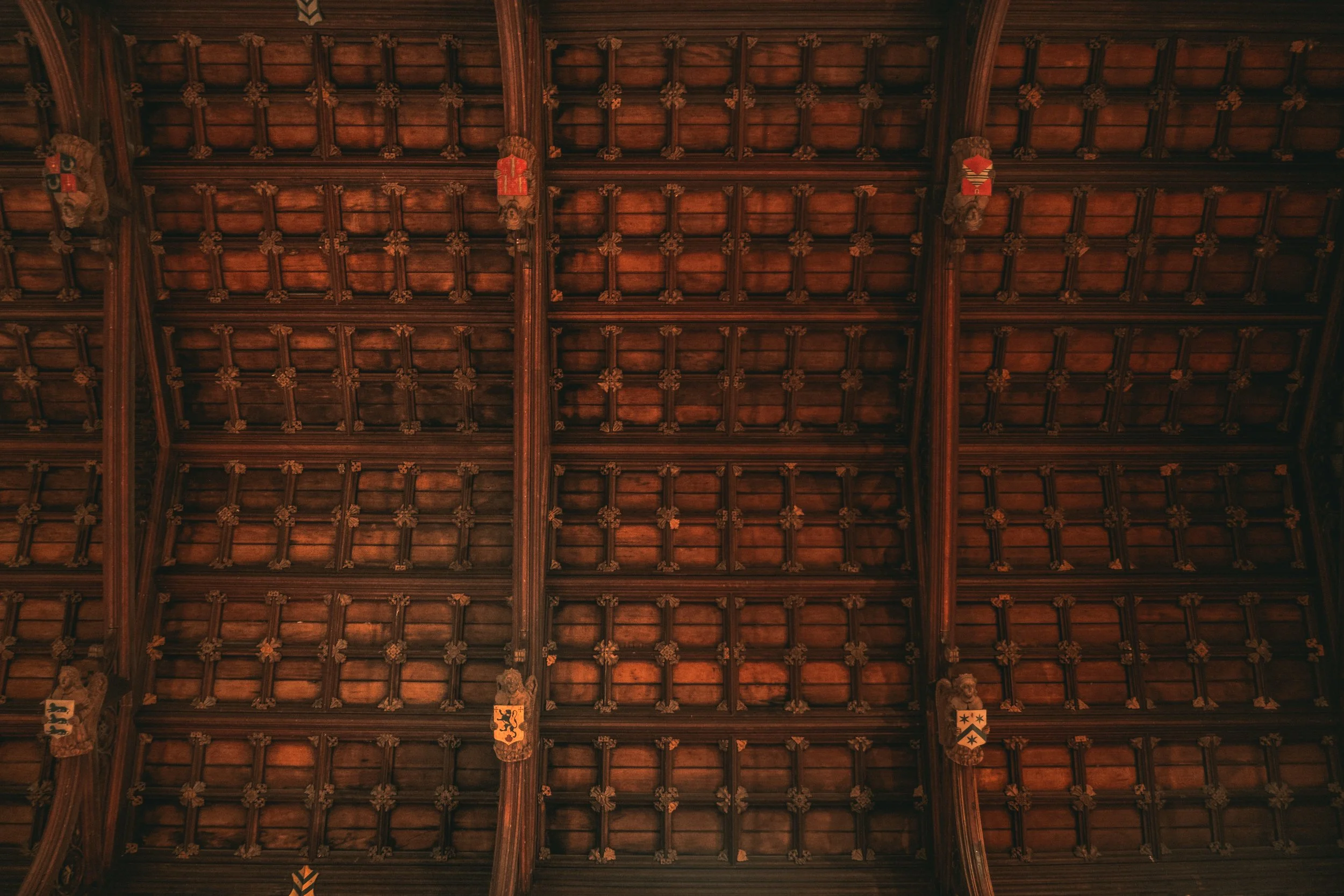 DSCF3515.jpg