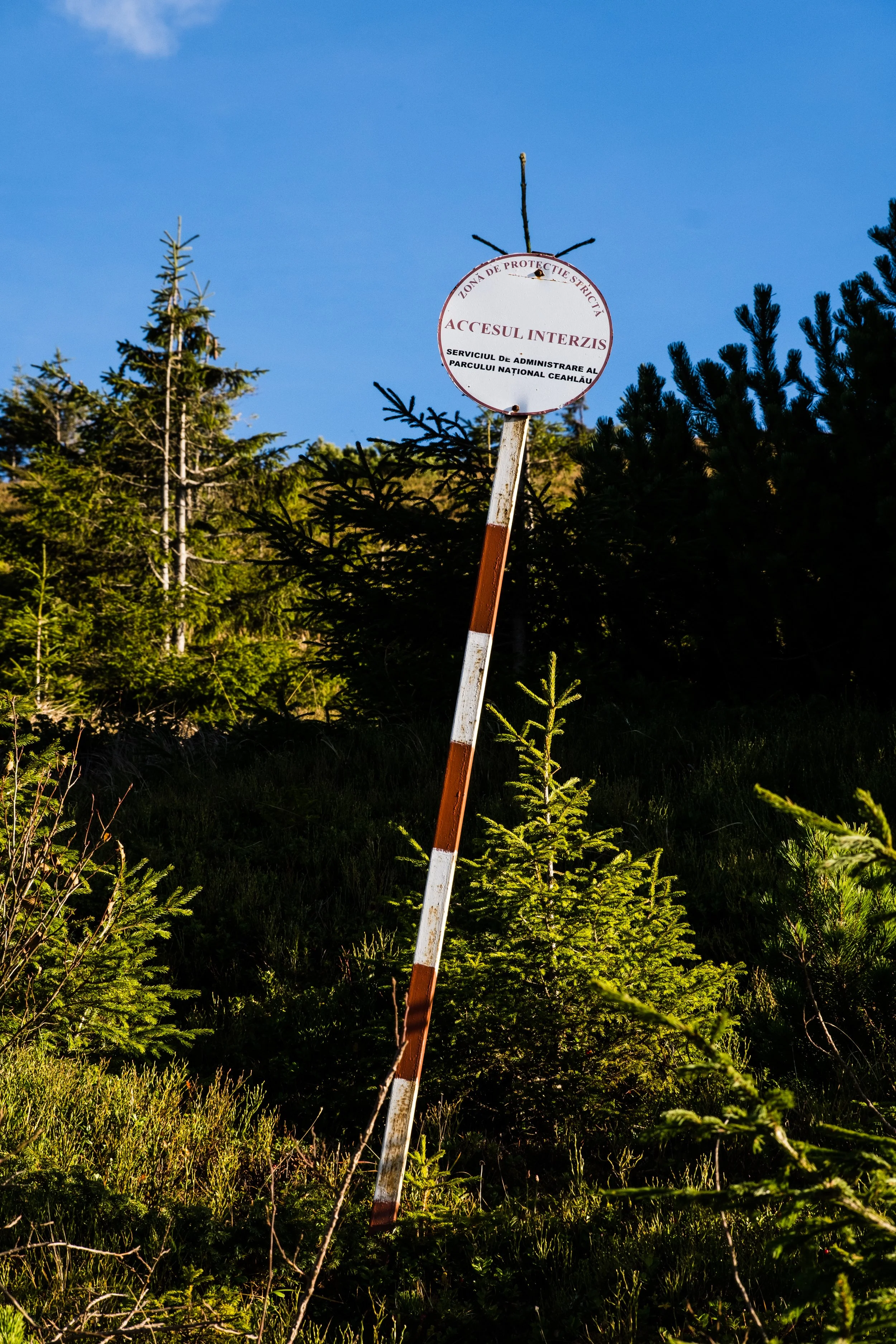 DSCF0540.jpg