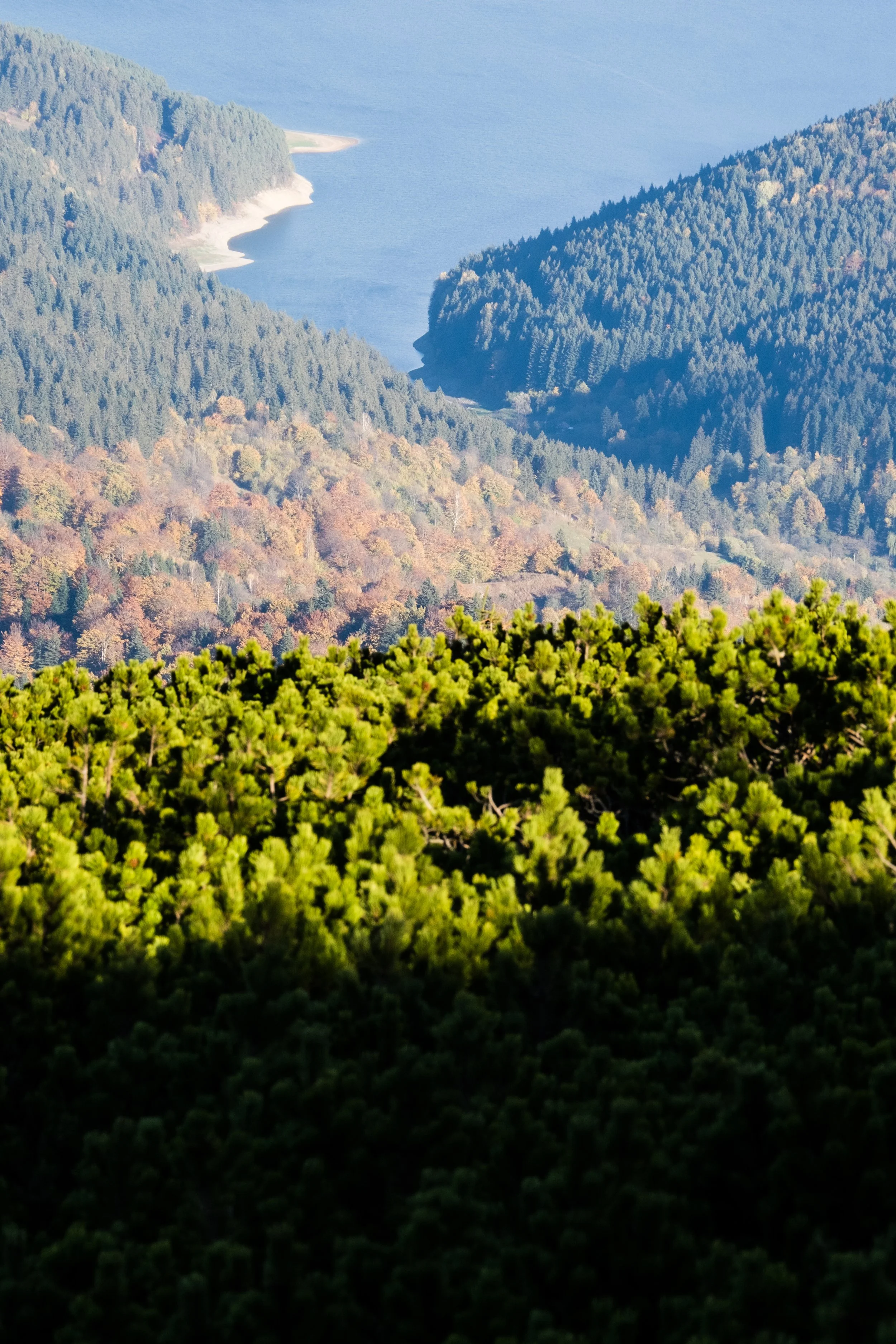 DSCF0495.jpg