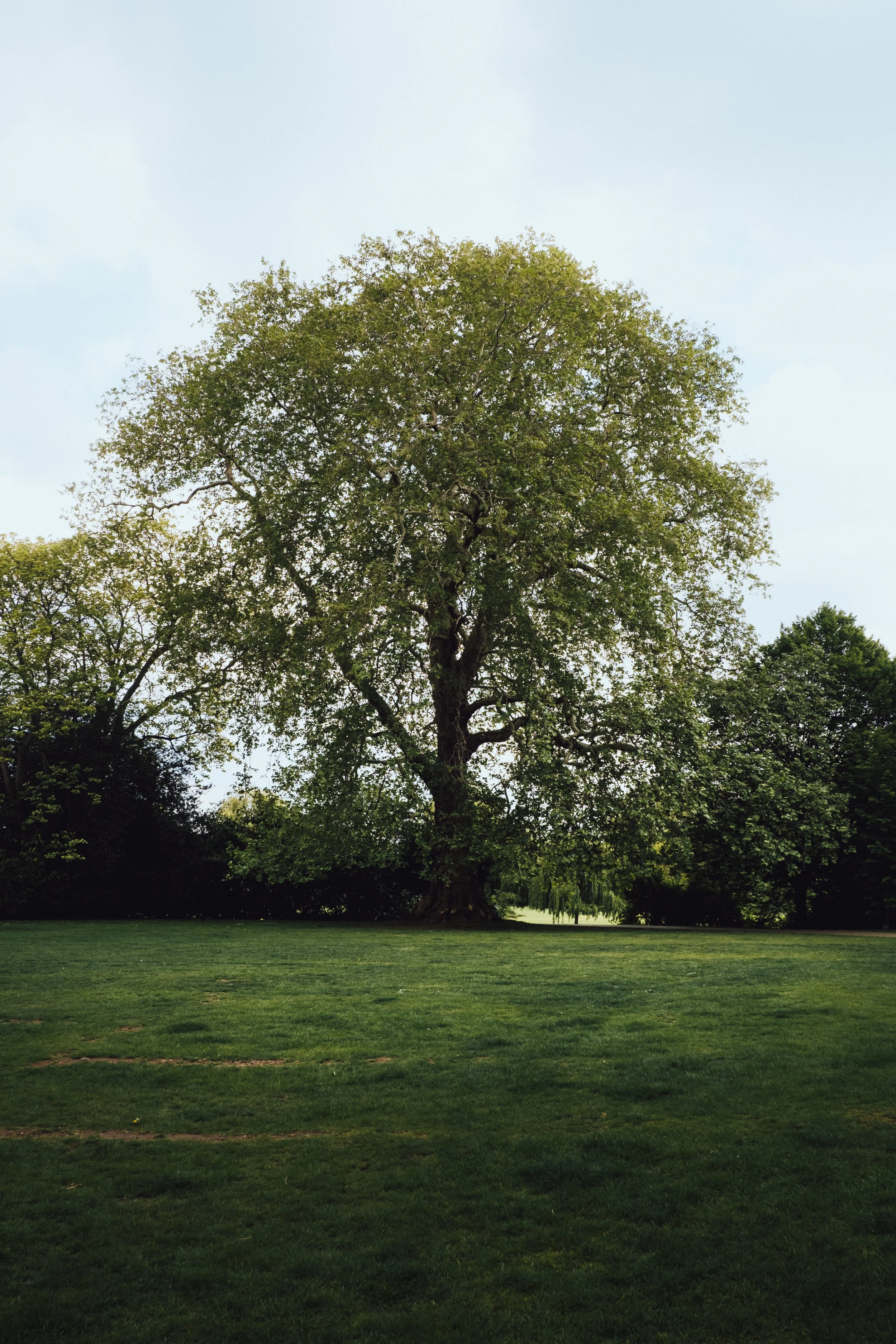 DSCF3561.jpg