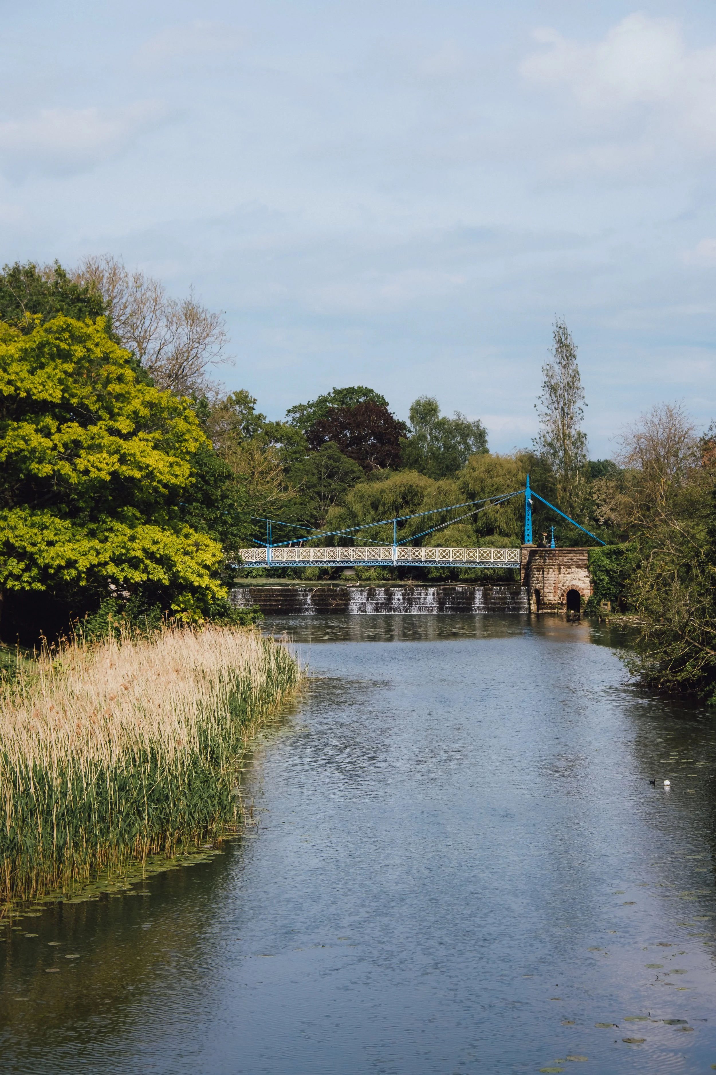 DSCF3714.jpg