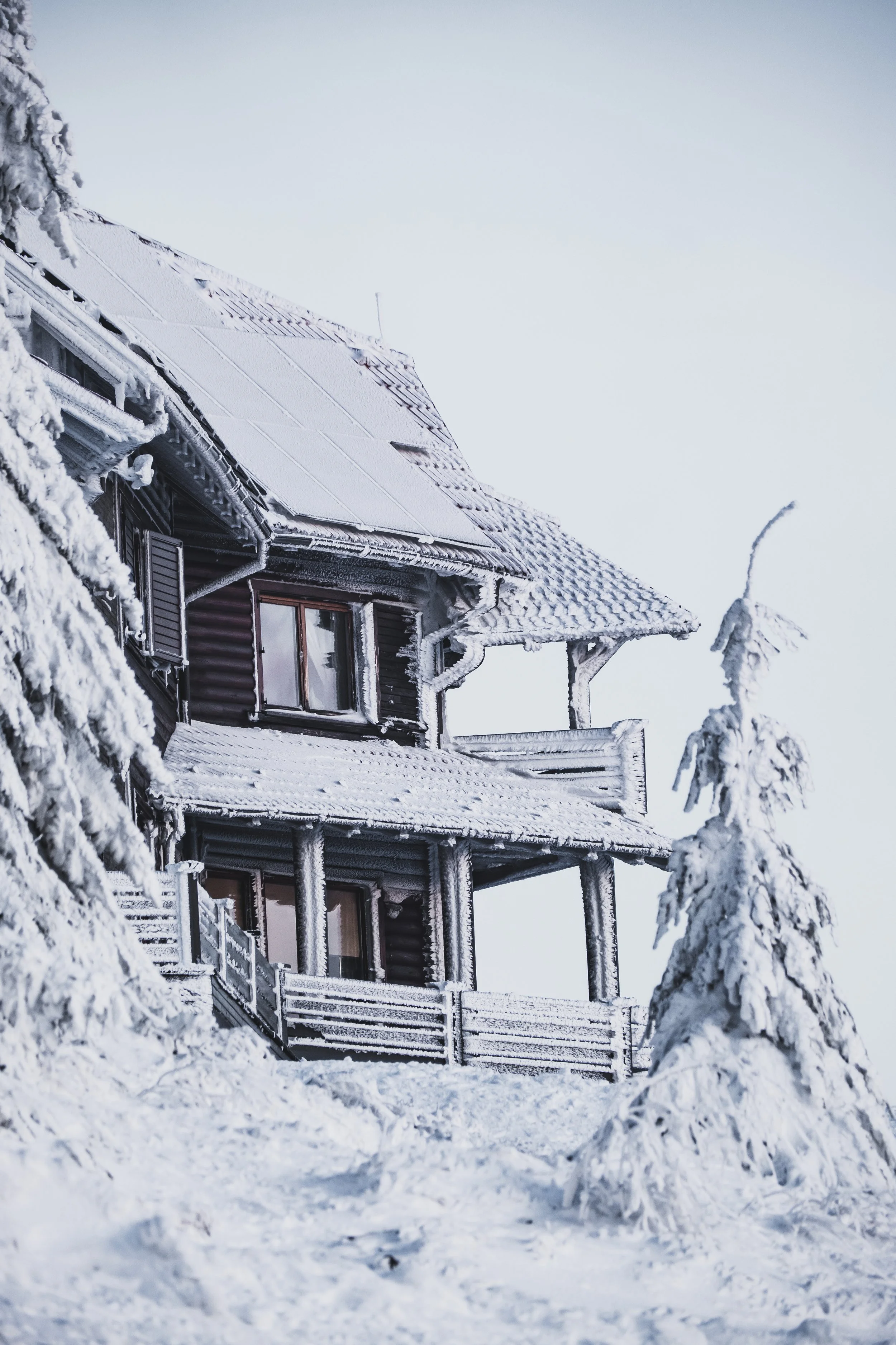 DSCF4753.jpg