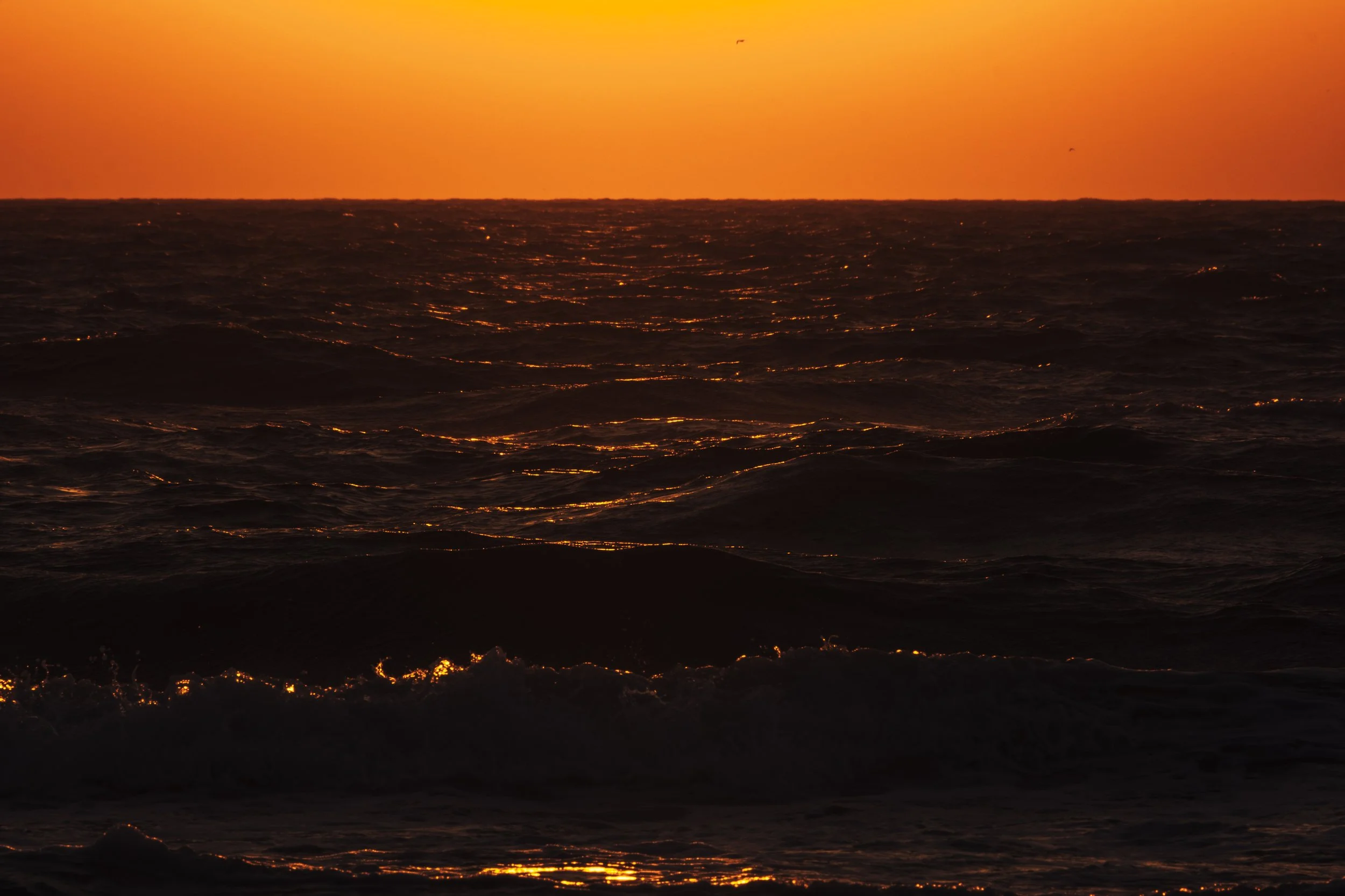 DSCF4304.jpg
