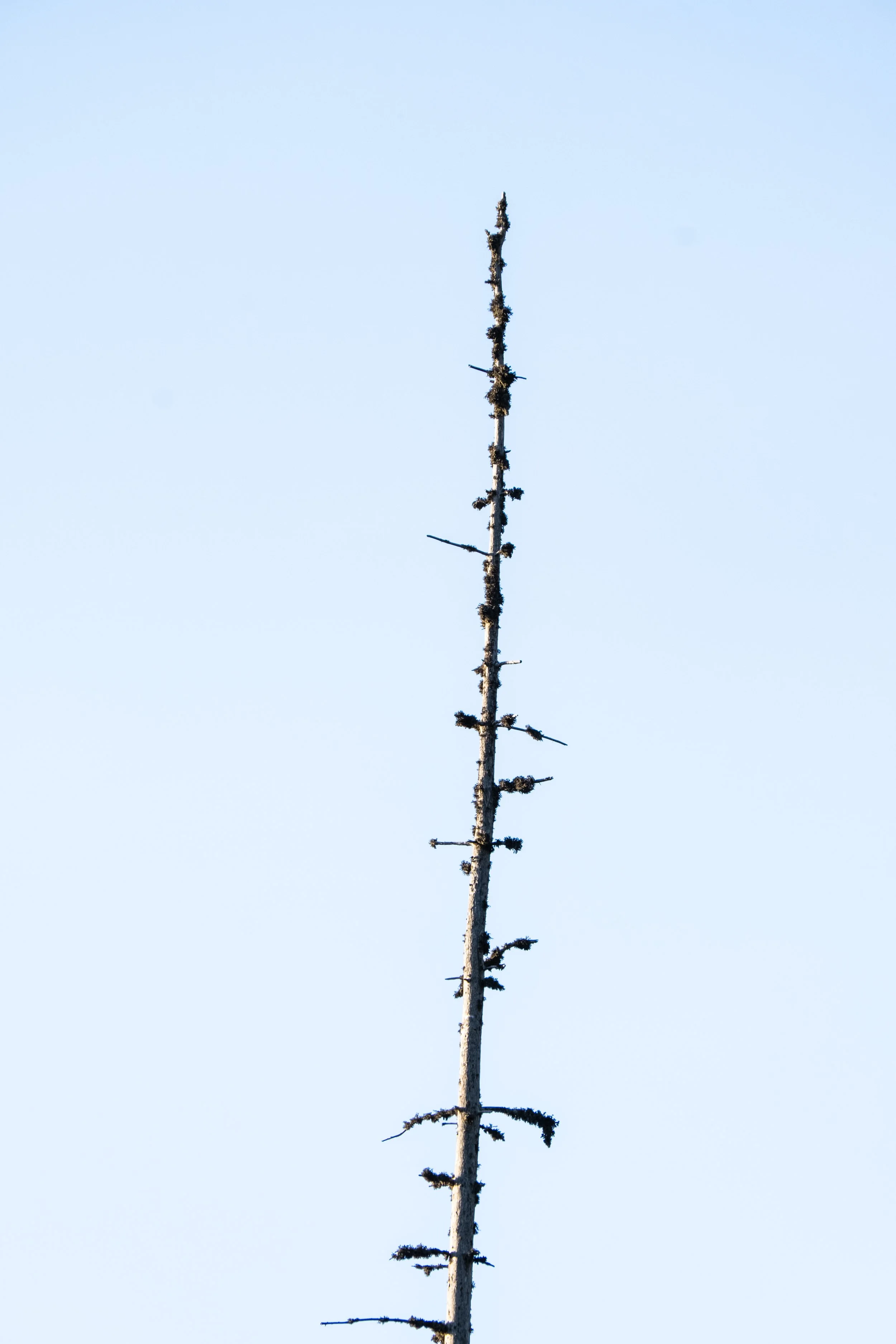 DSCF0655.jpg