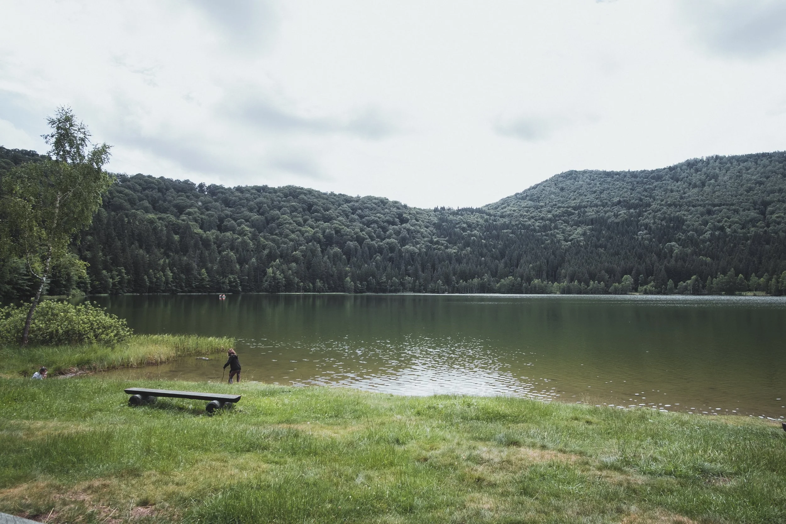 DSCF9150.jpg