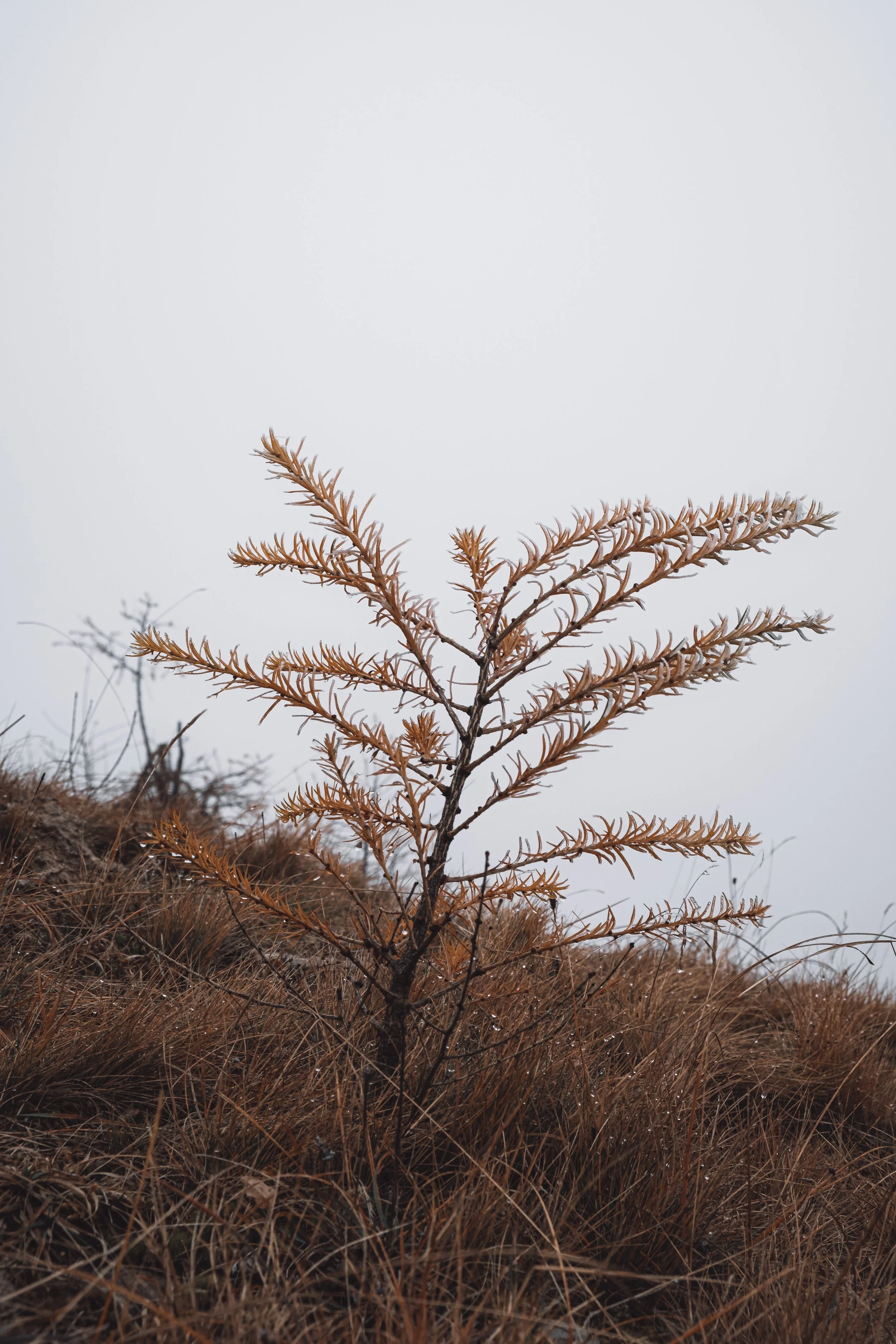 DSCF0744.jpg