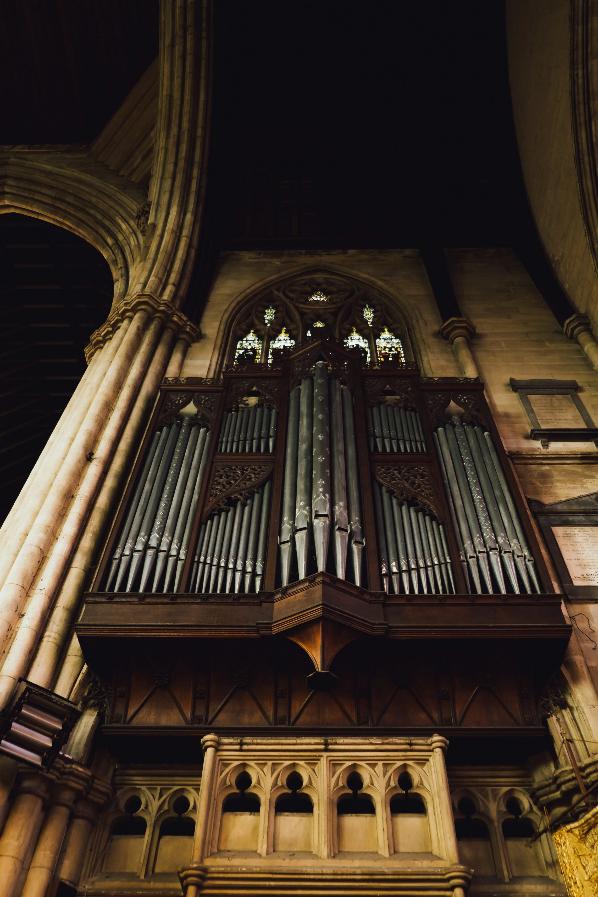 DSCF3676.jpg