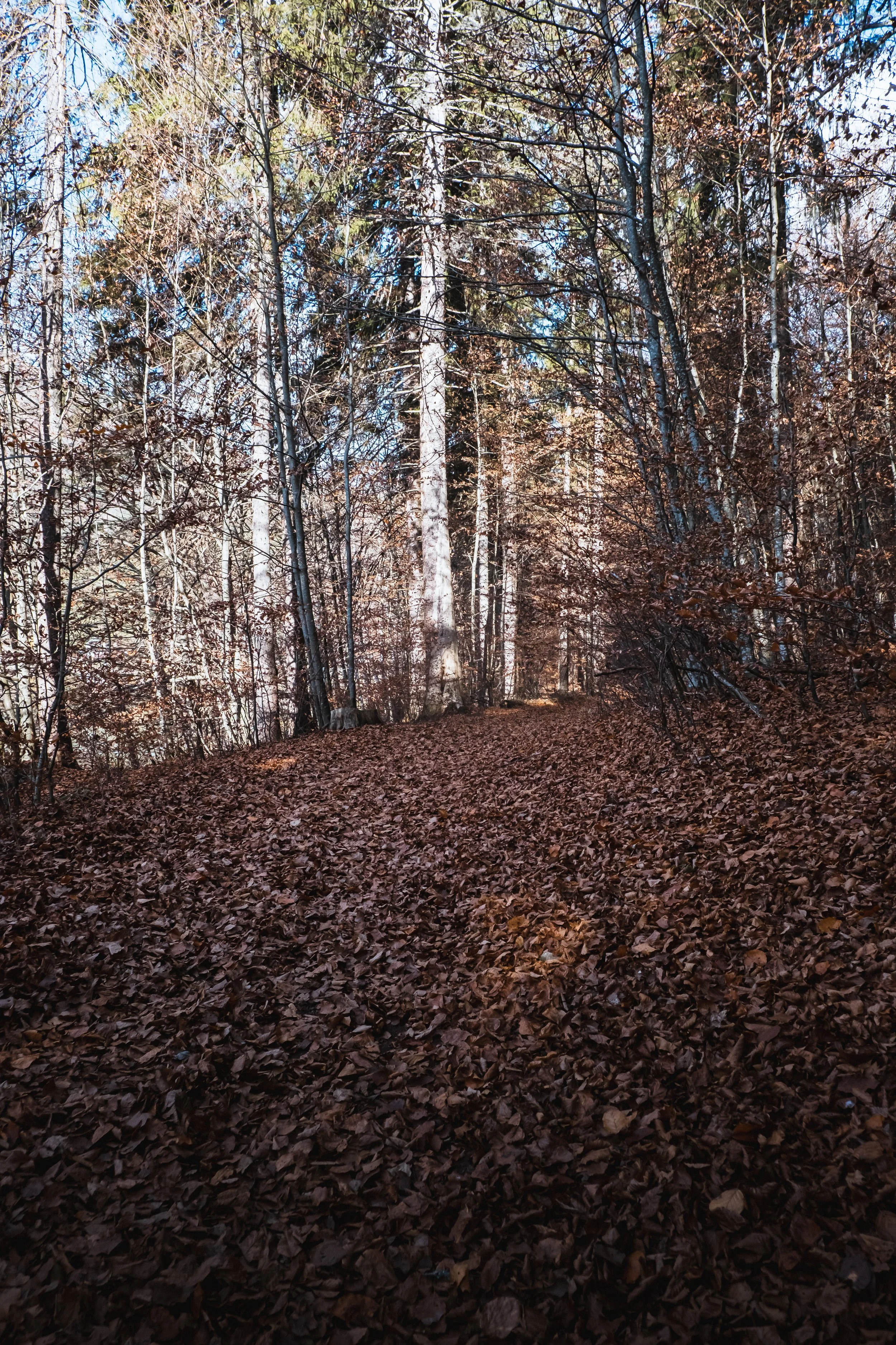 DSCF9434.jpg