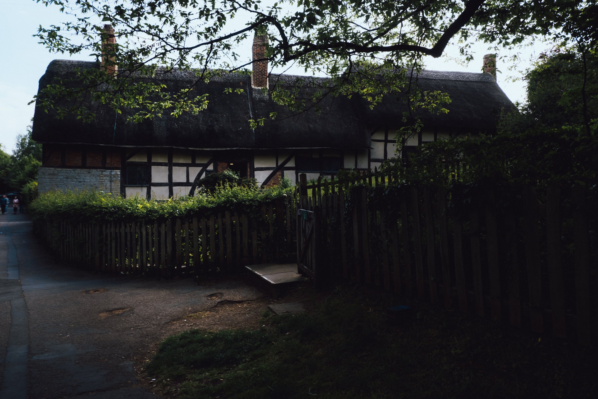 DSCF3606.jpg