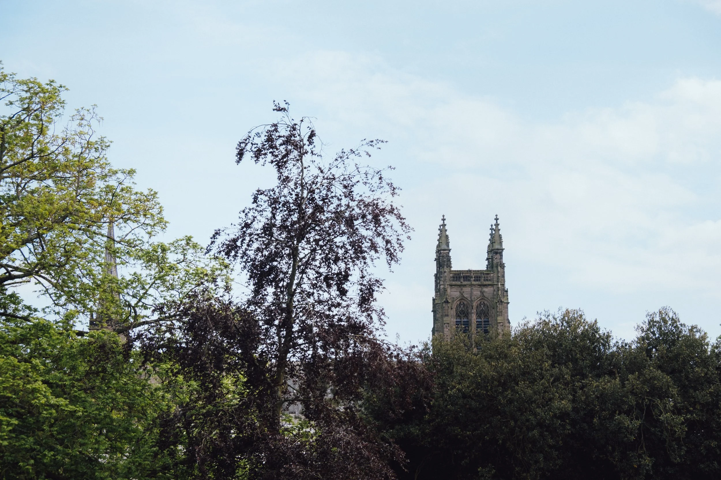 DSCF3817.jpg