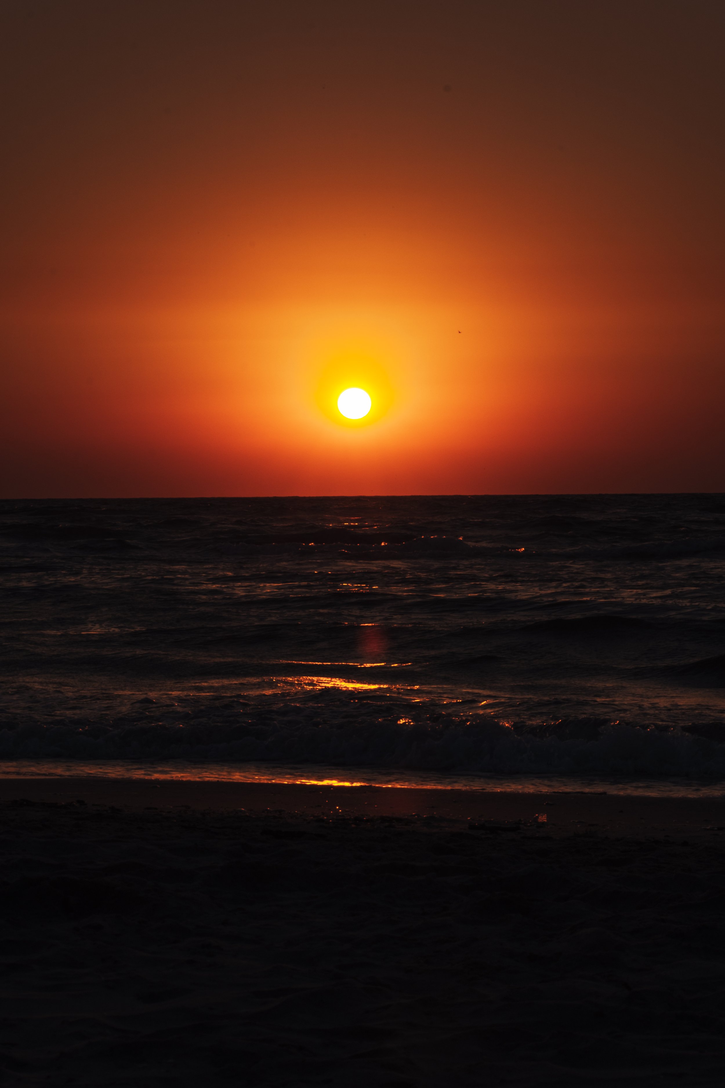 DSCF4227.jpg