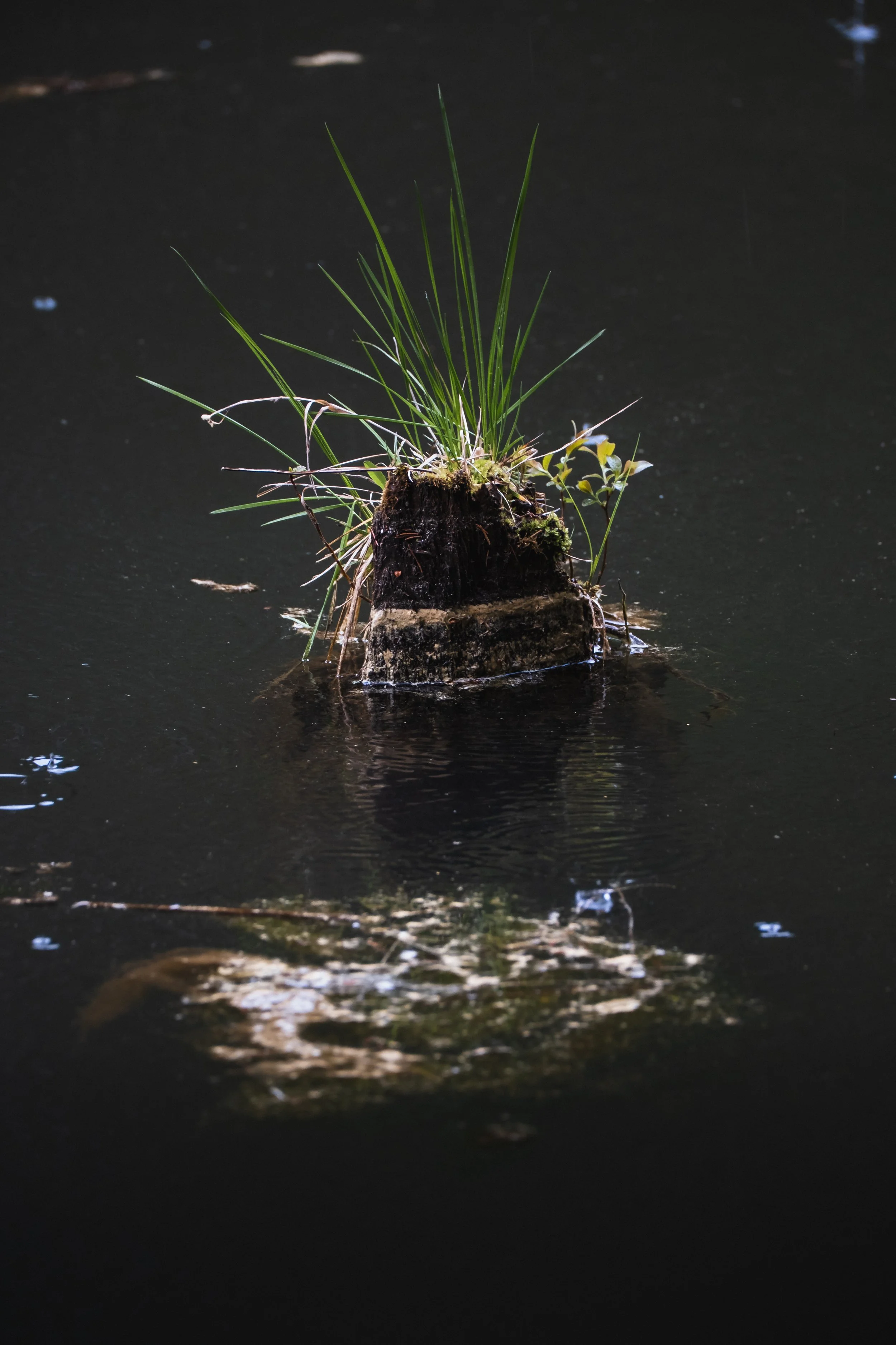 DSCF7710.jpg