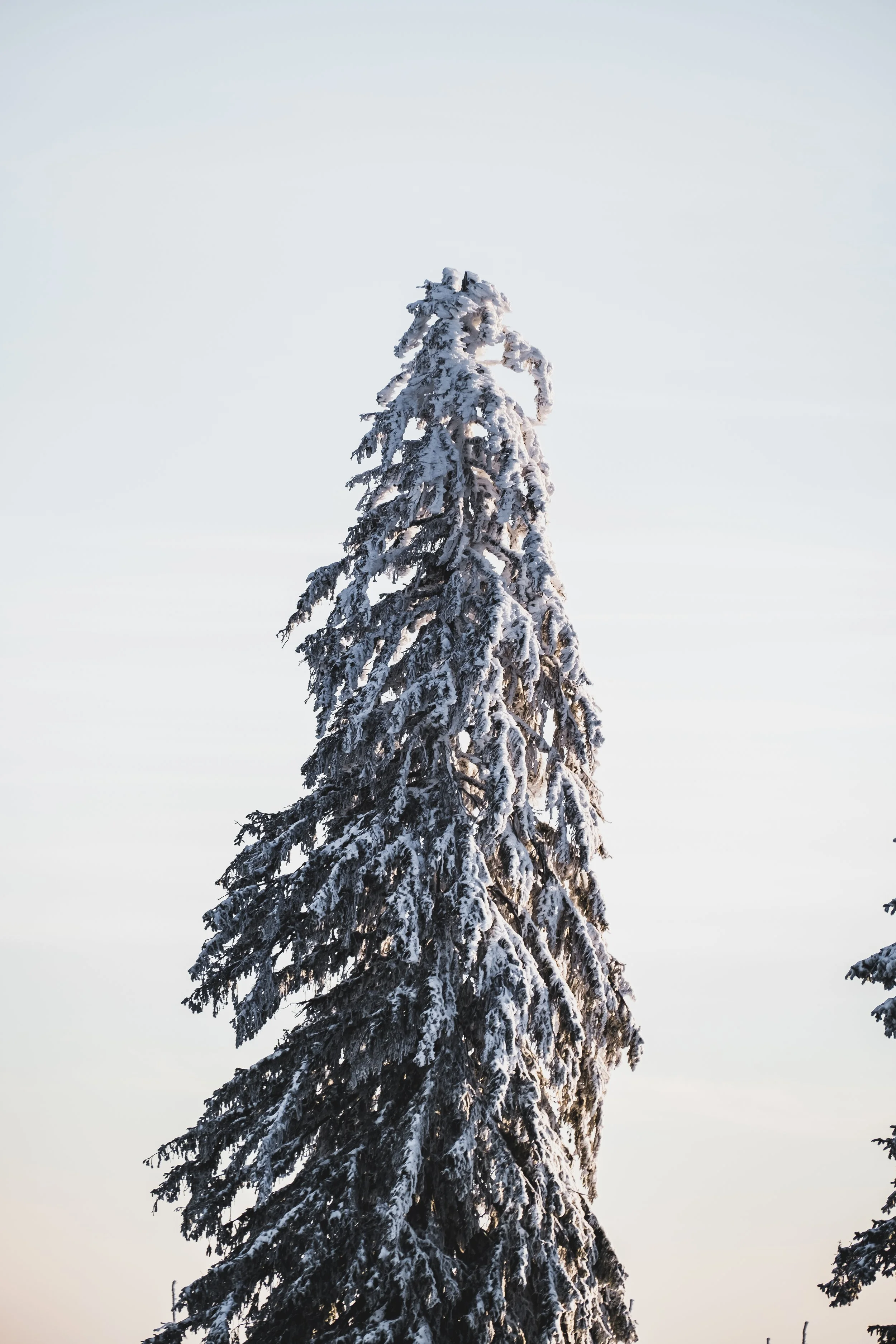 DSCF4563.jpg