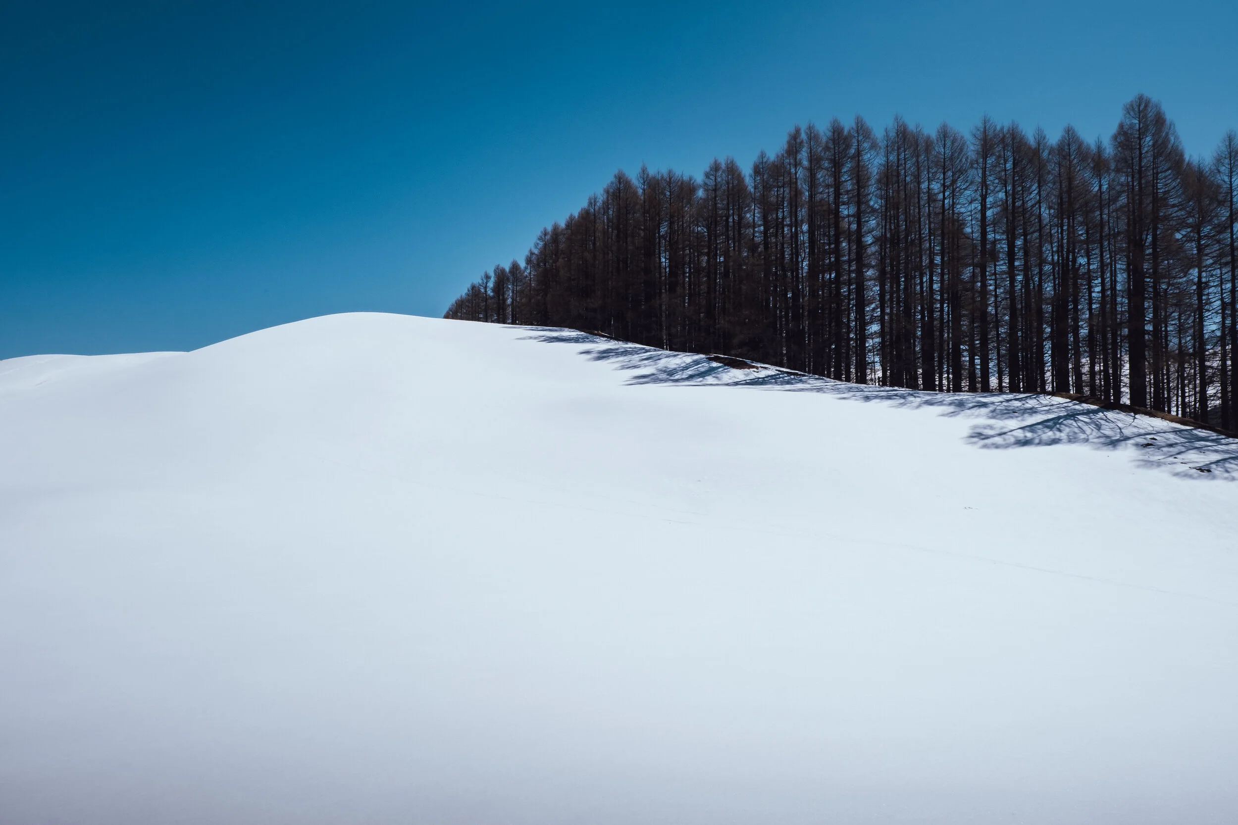 Complete silence in the Baiu Mountains, captured on 10/04/2021