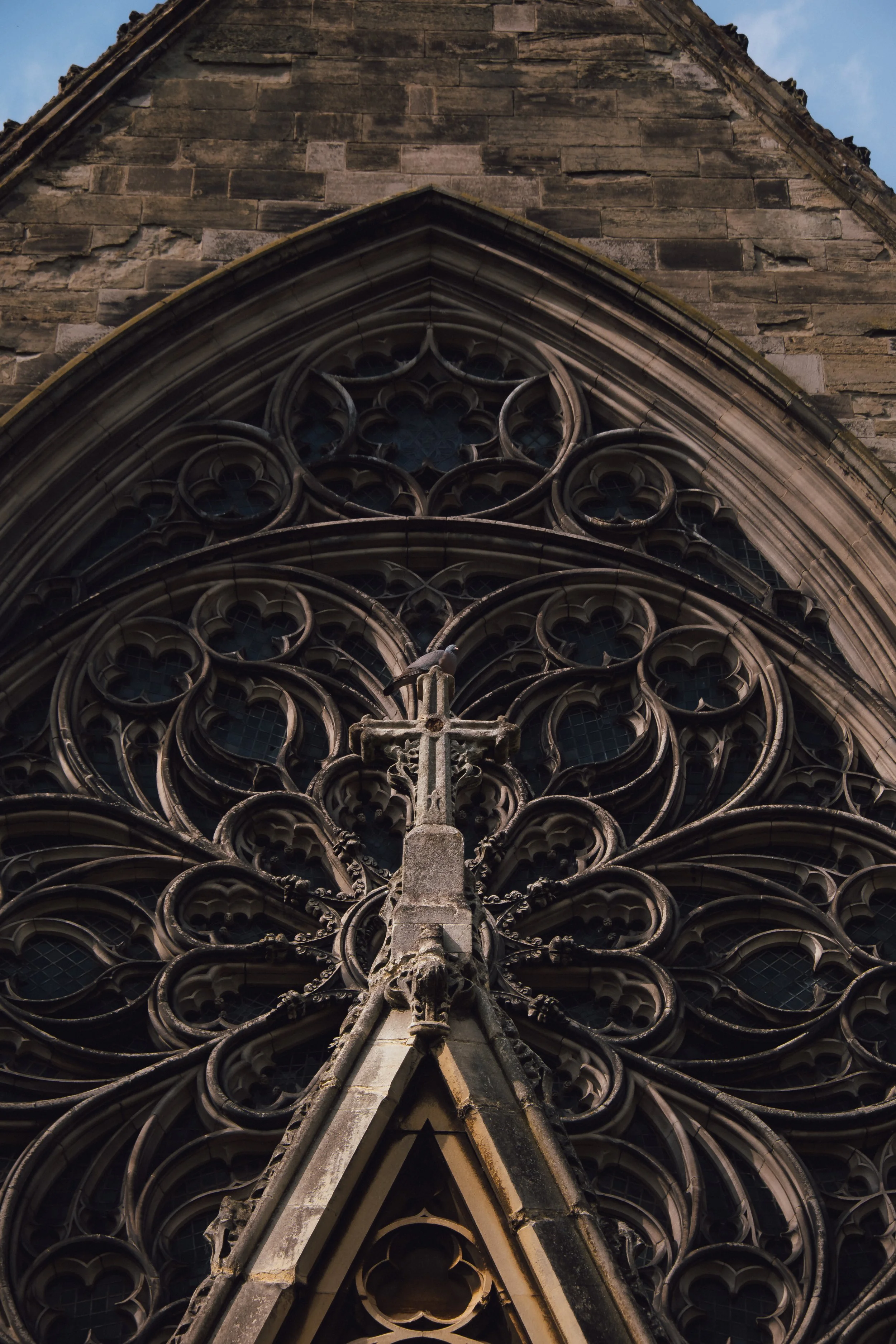 DSCF3695.jpg