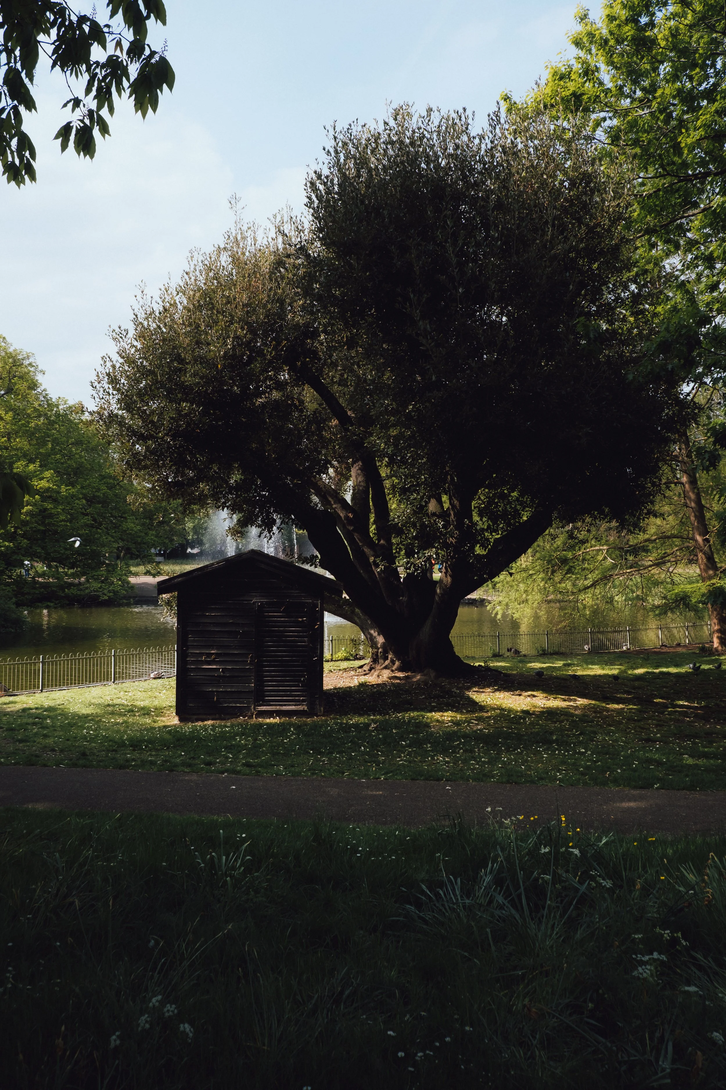 DSCF3721.jpg