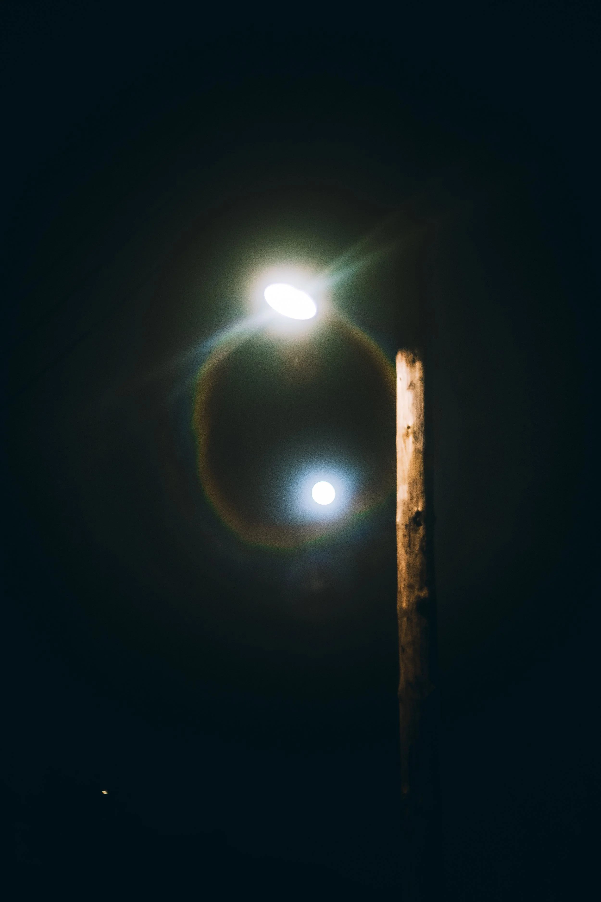 DSCF3351.jpg