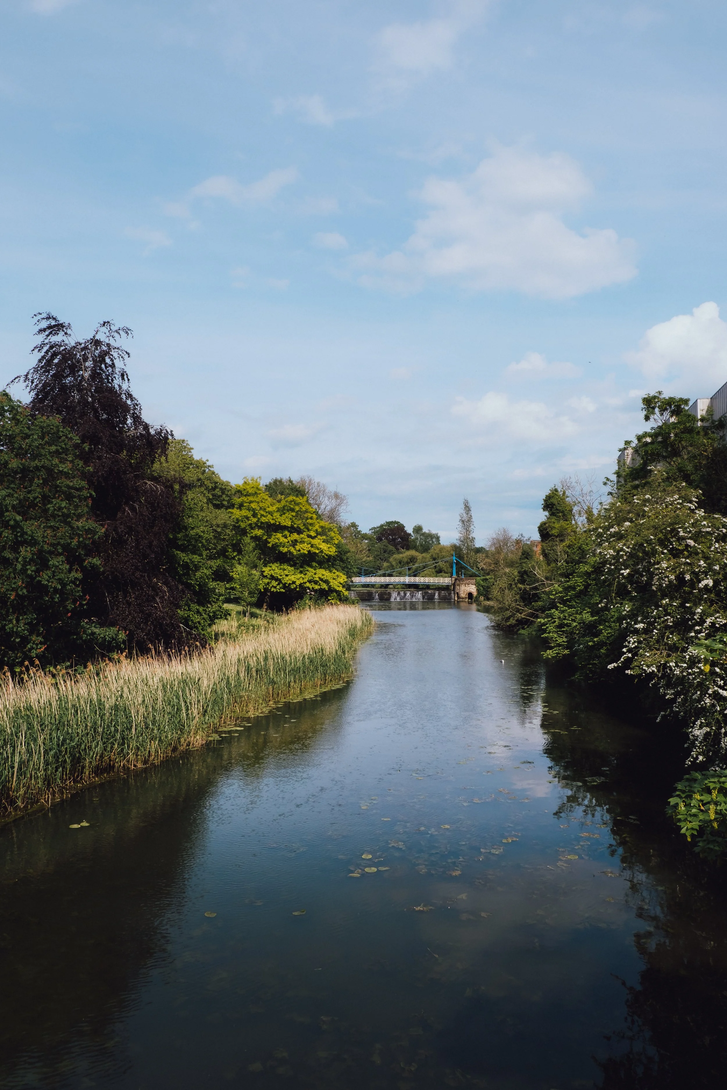 DSCF3715.jpg