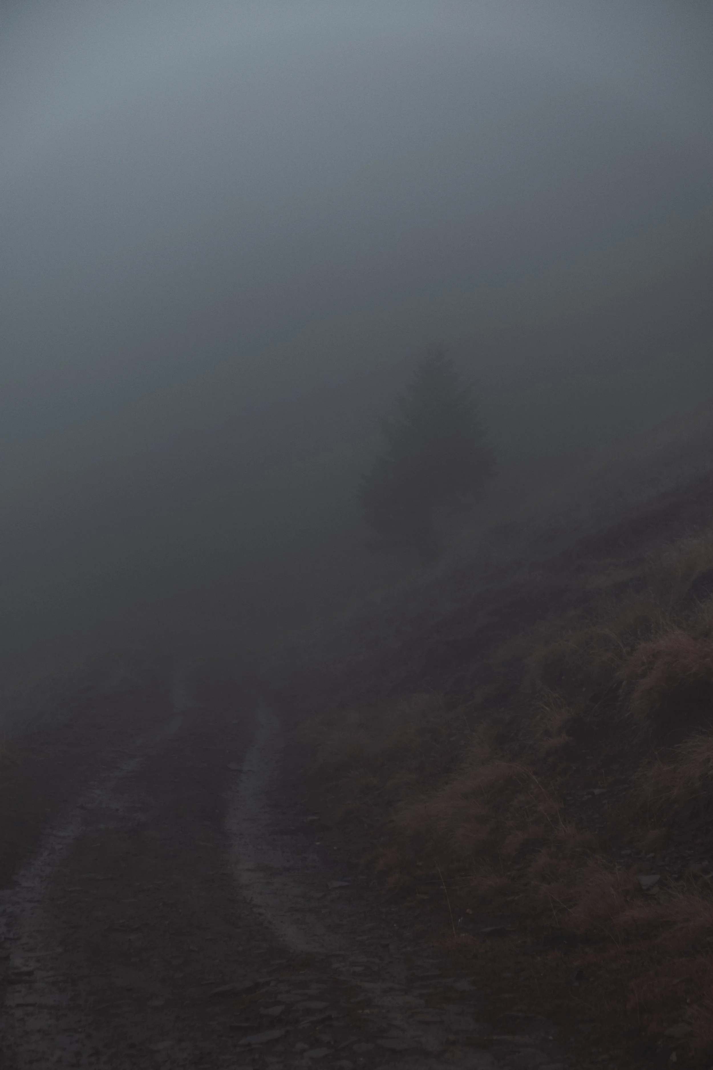 DSCF1074.jpg