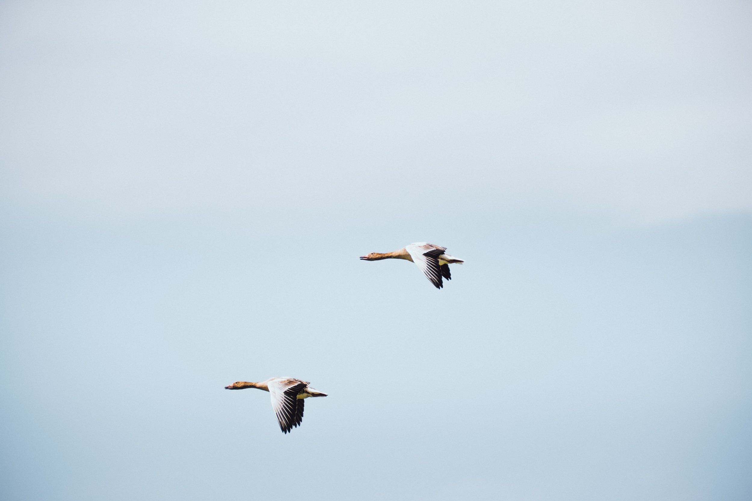DSCF6753.jpg