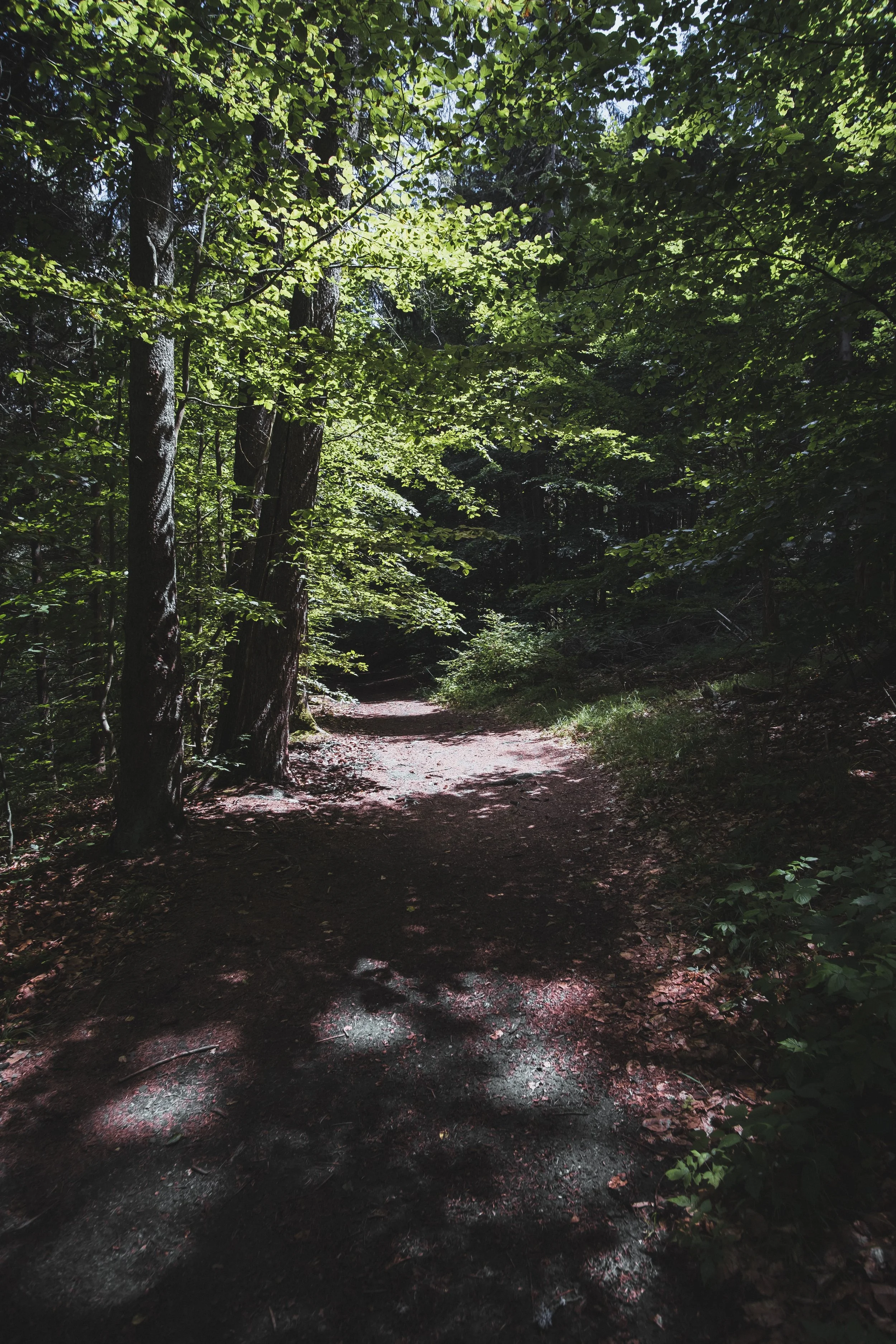 DSCF9130.jpg
