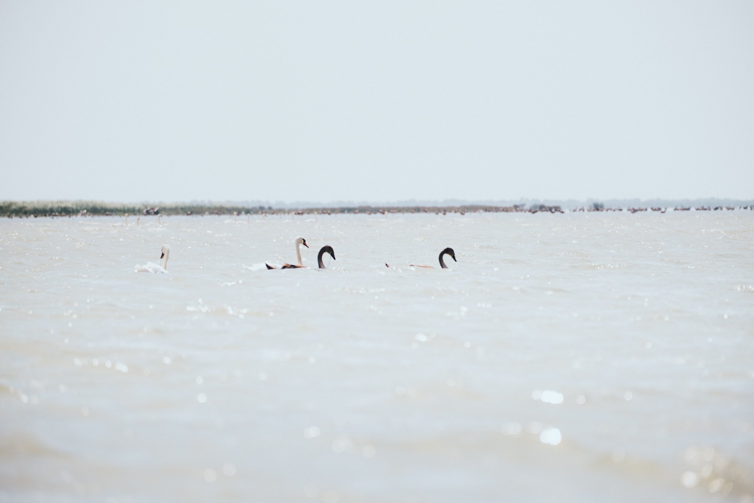 DSCF7193.jpg